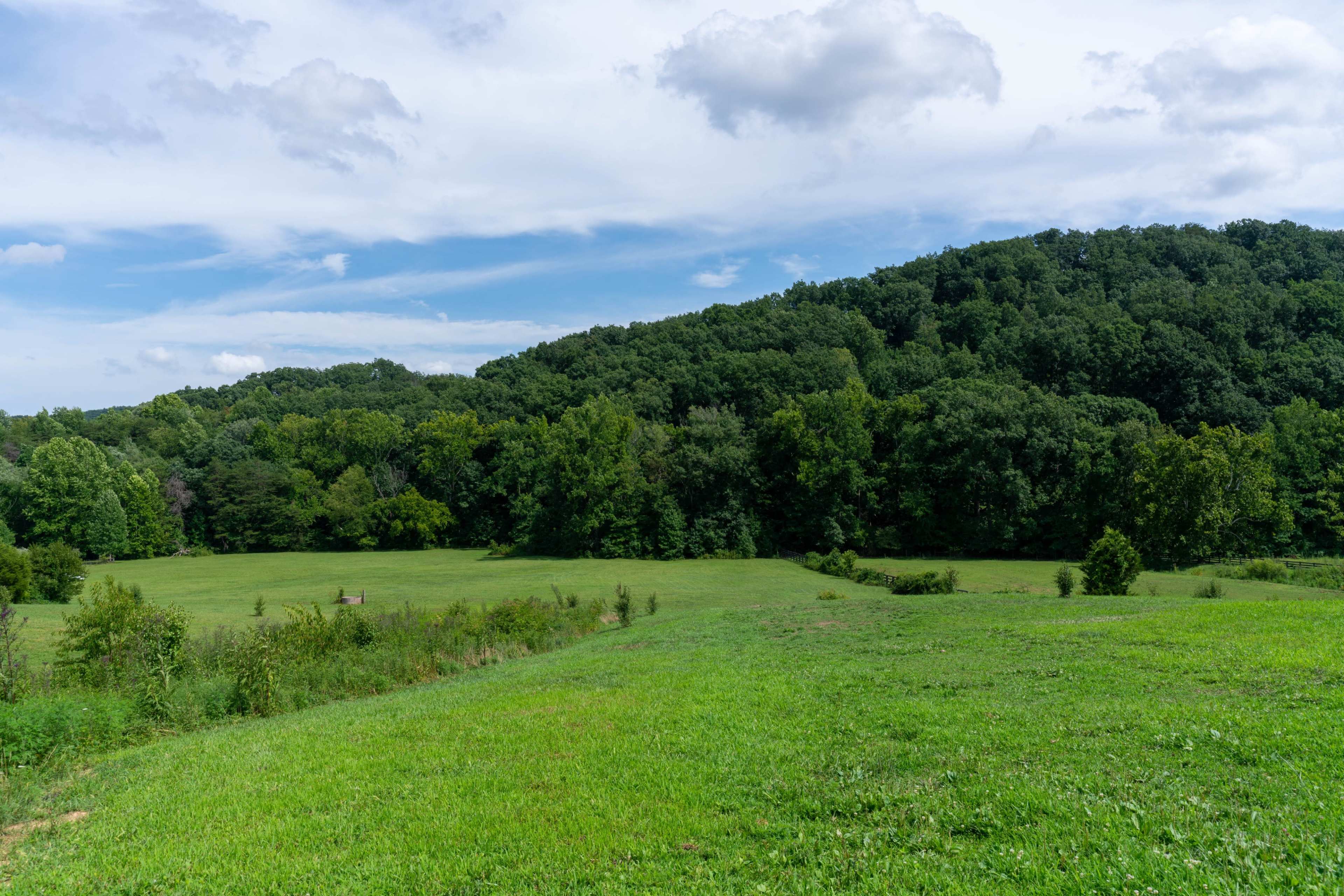 A lush green field gently slopes toward a wooded hillside under a partly cloudy sky.