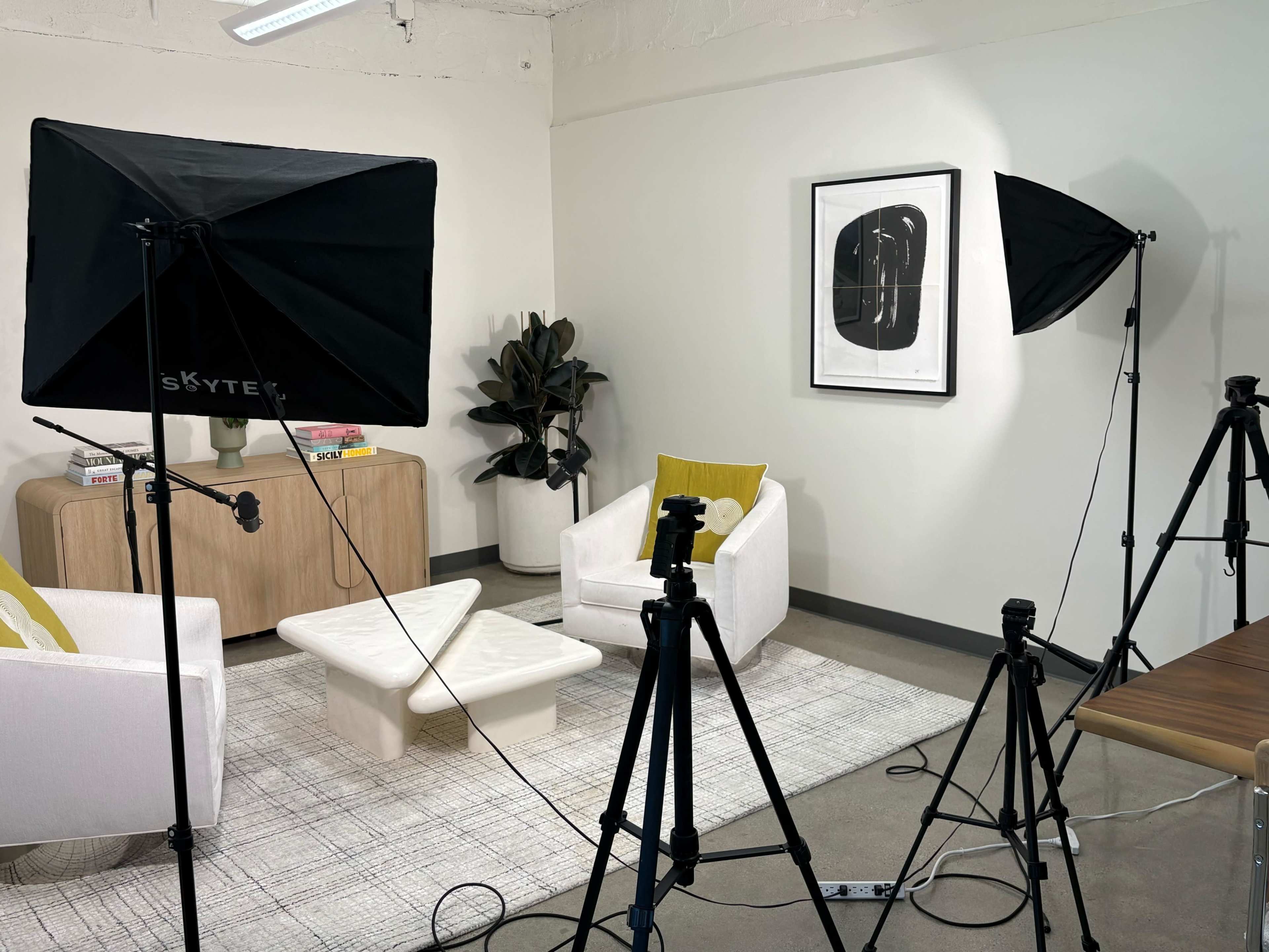 The image shows a well-lit interior space designed for filming, featuring two softbox lights, a coffee table, two armchairs, a plant, and a wall art piece.