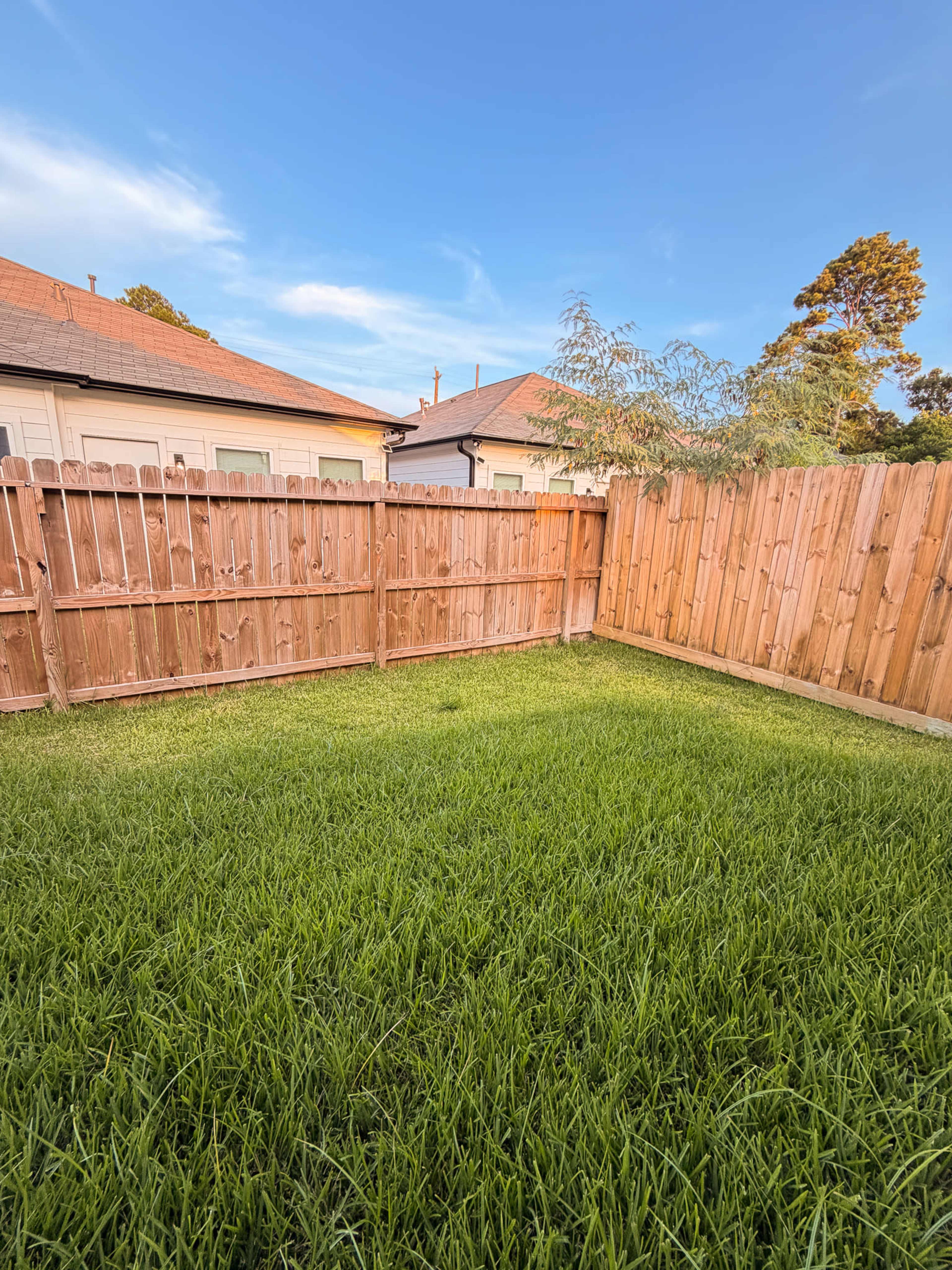 The image shows a small, fenced backyard with green grass and houses visible in the background under a clear blue sky.