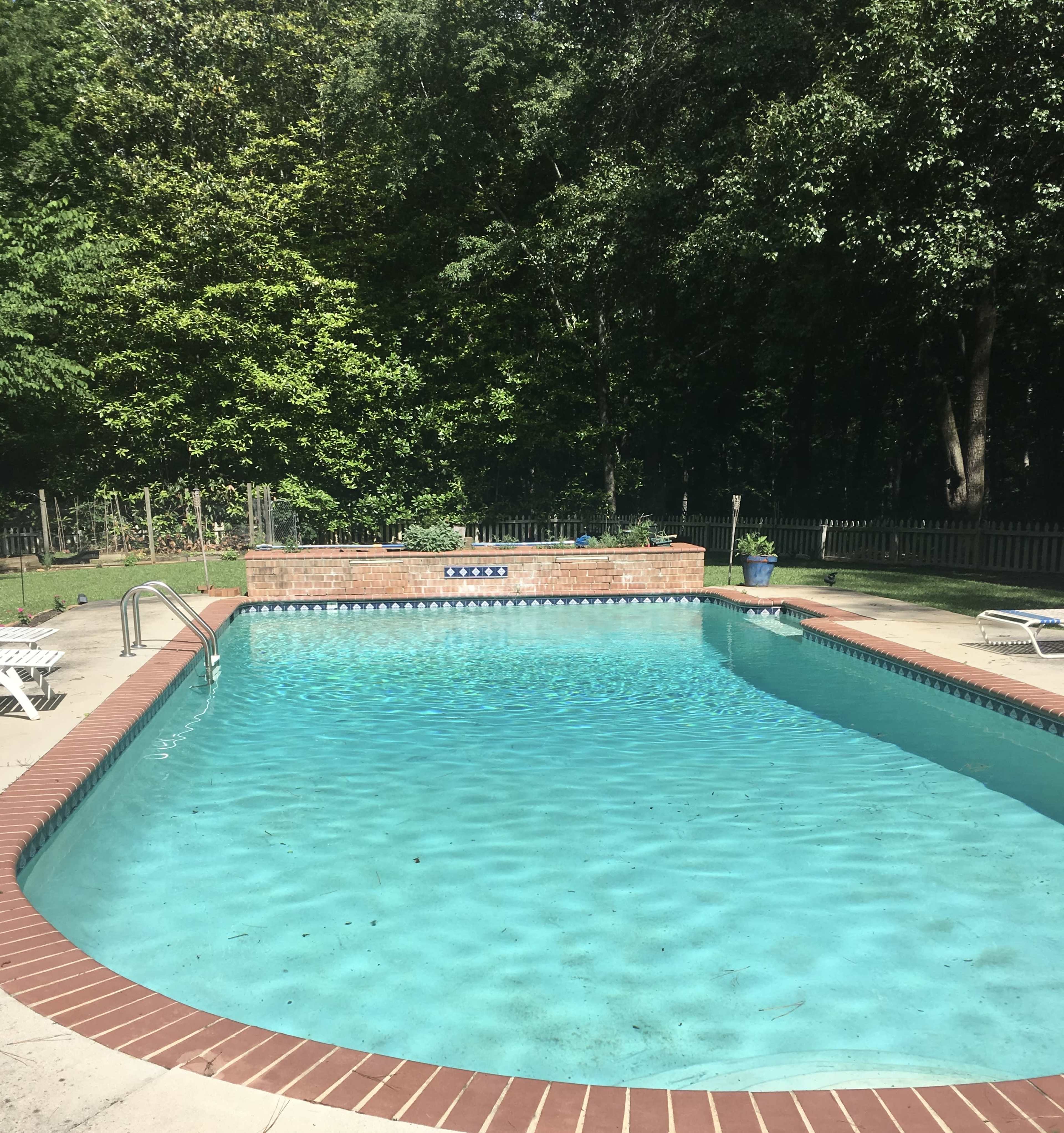 A rectangular swimming pool with a brick edge is surrounded by greenery and lounge chairs.