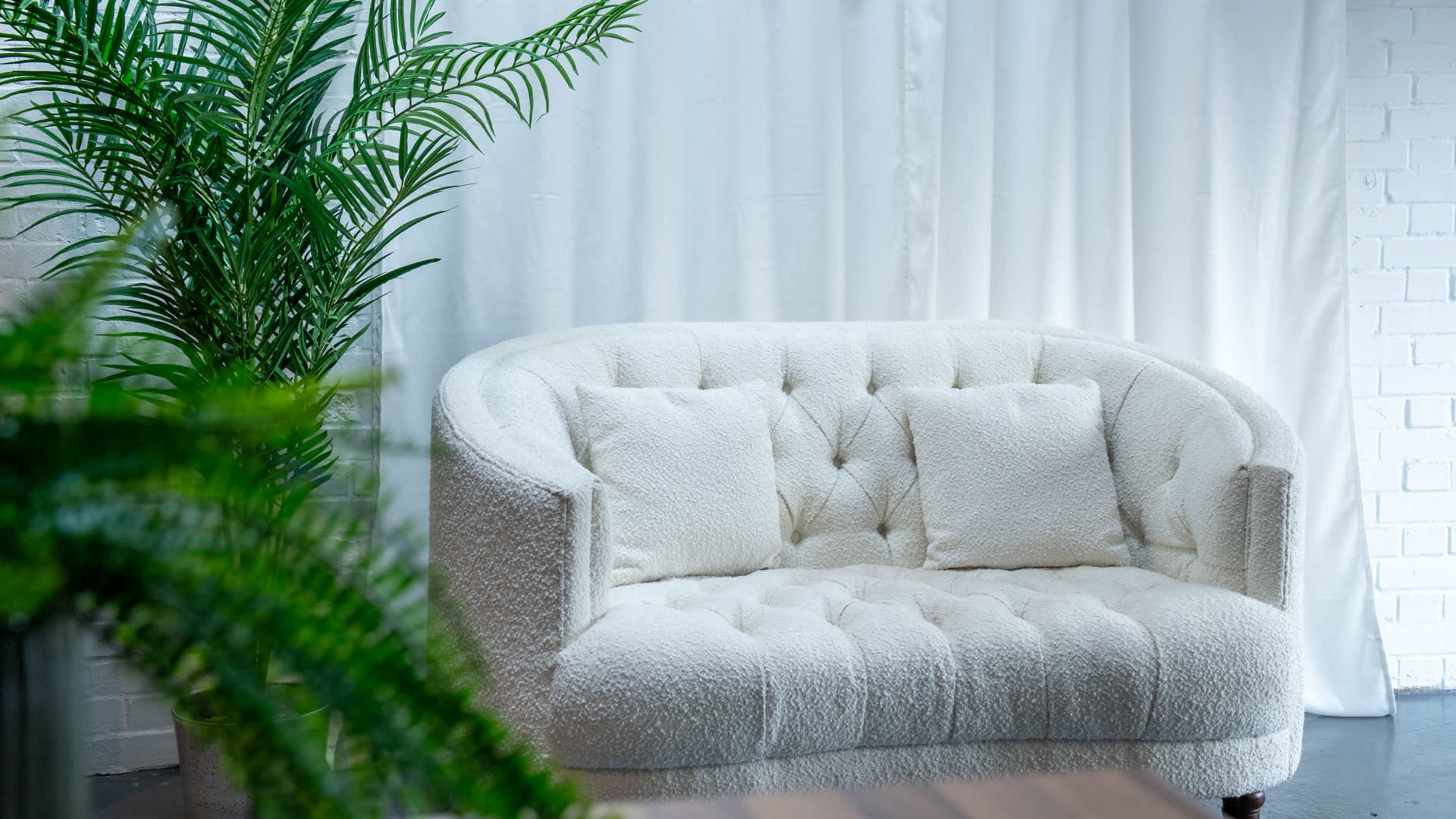 The image features a cream-colored, tufted loveseat placed beside a lush green plant against a backdrop of white curtains.