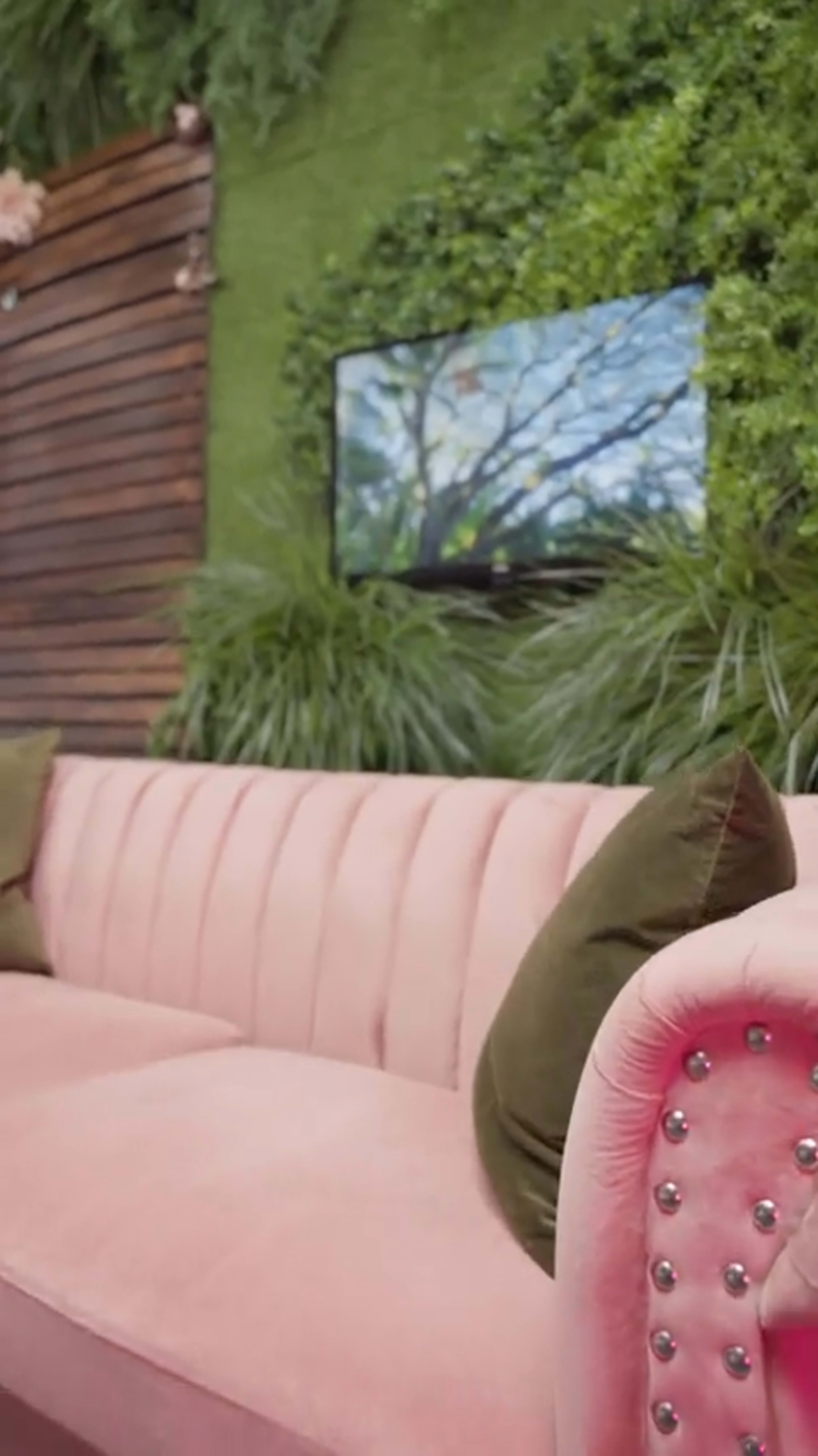A pink velvet sofa with decorative pillows in front of a green wall adorned with plants and a TV mounted above.