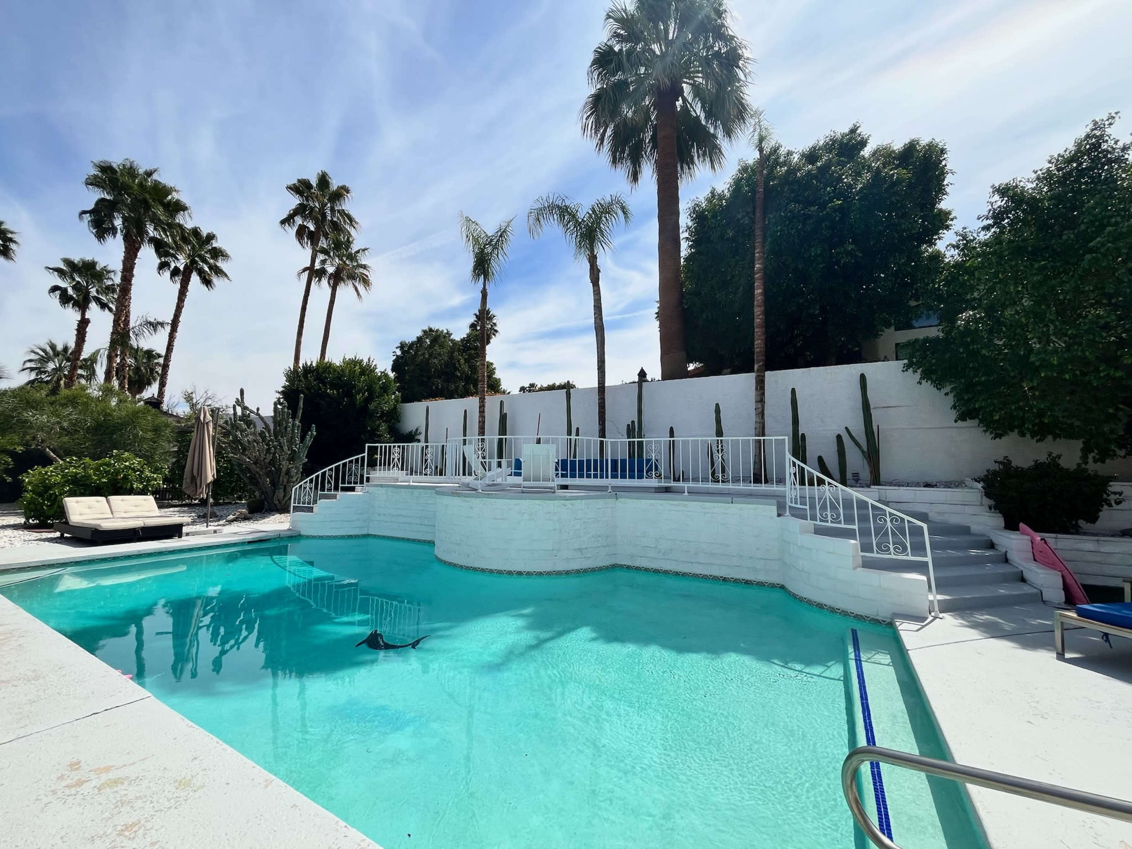 The image shows a swimming pool surrounded by palm trees, with a white deck and a set of stairs leading from the pool to a raised area.