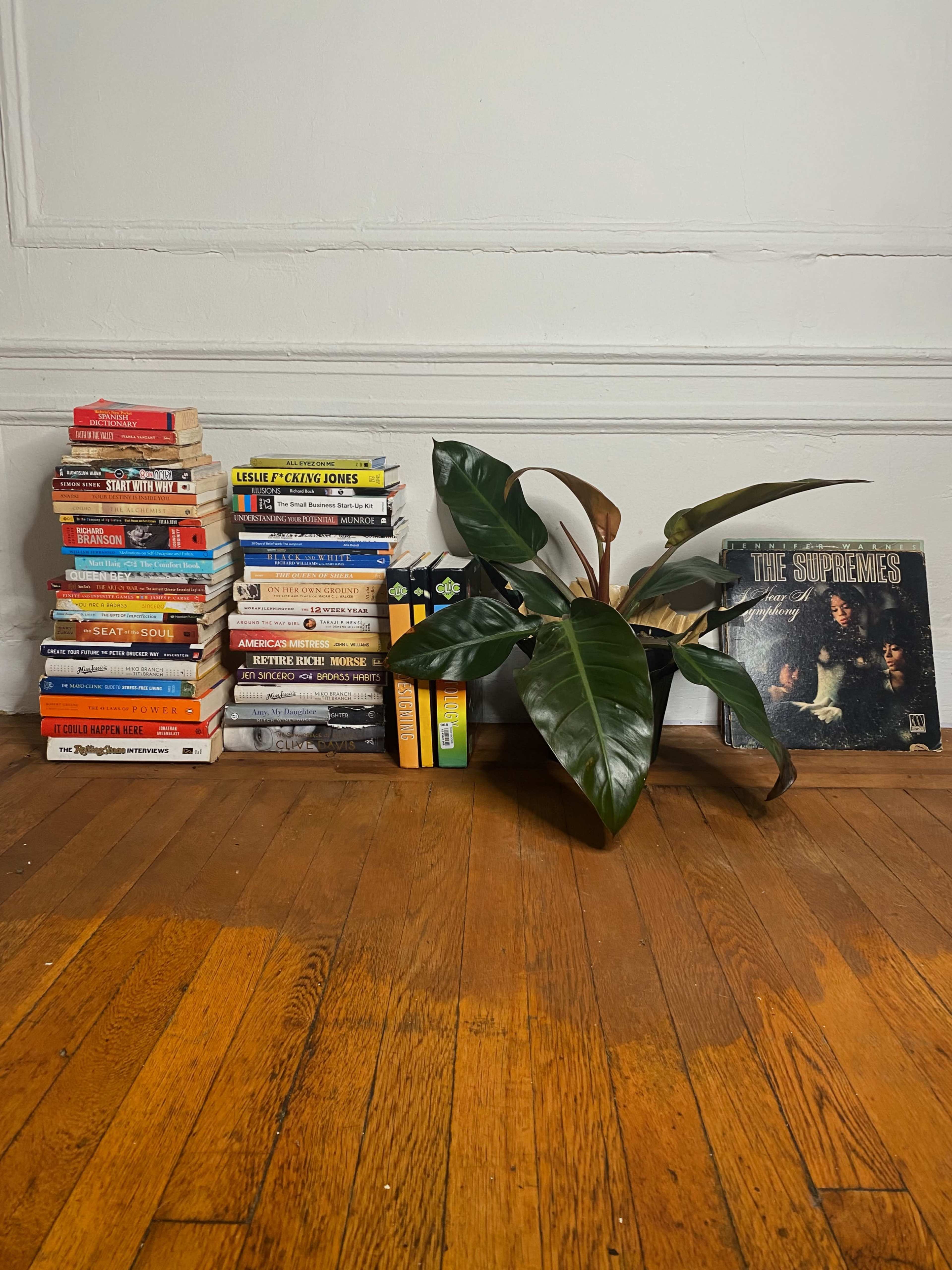 A stack of colorful books is arranged on a wooden floor beside a large plant and a vinyl record titled "The Supremes."
