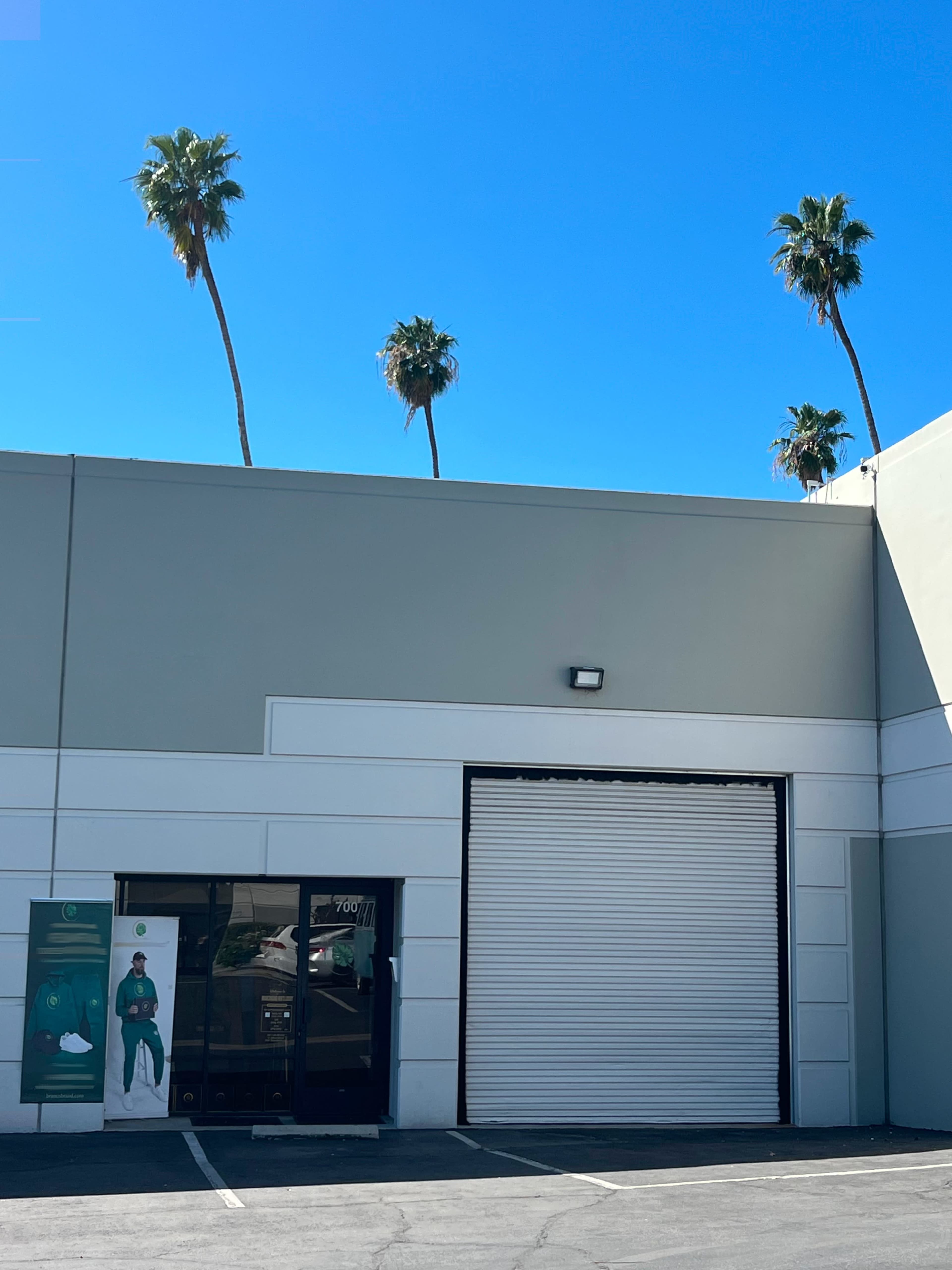 A storefront with a large roller door is flanked by palm trees against a clear blue sky.