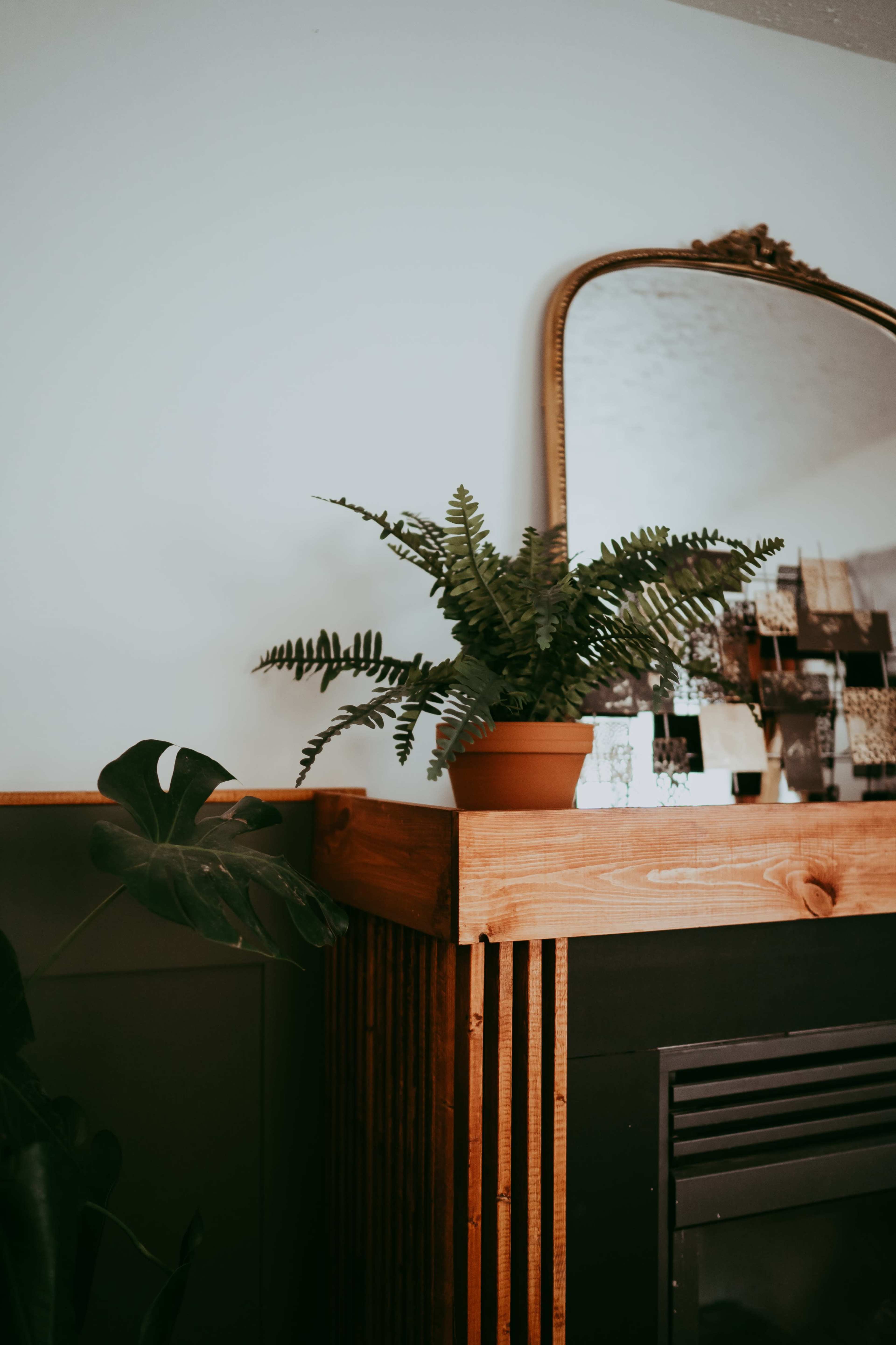 A potted fern is displayed on a wooden shelf beneath a large mirror in a room.
