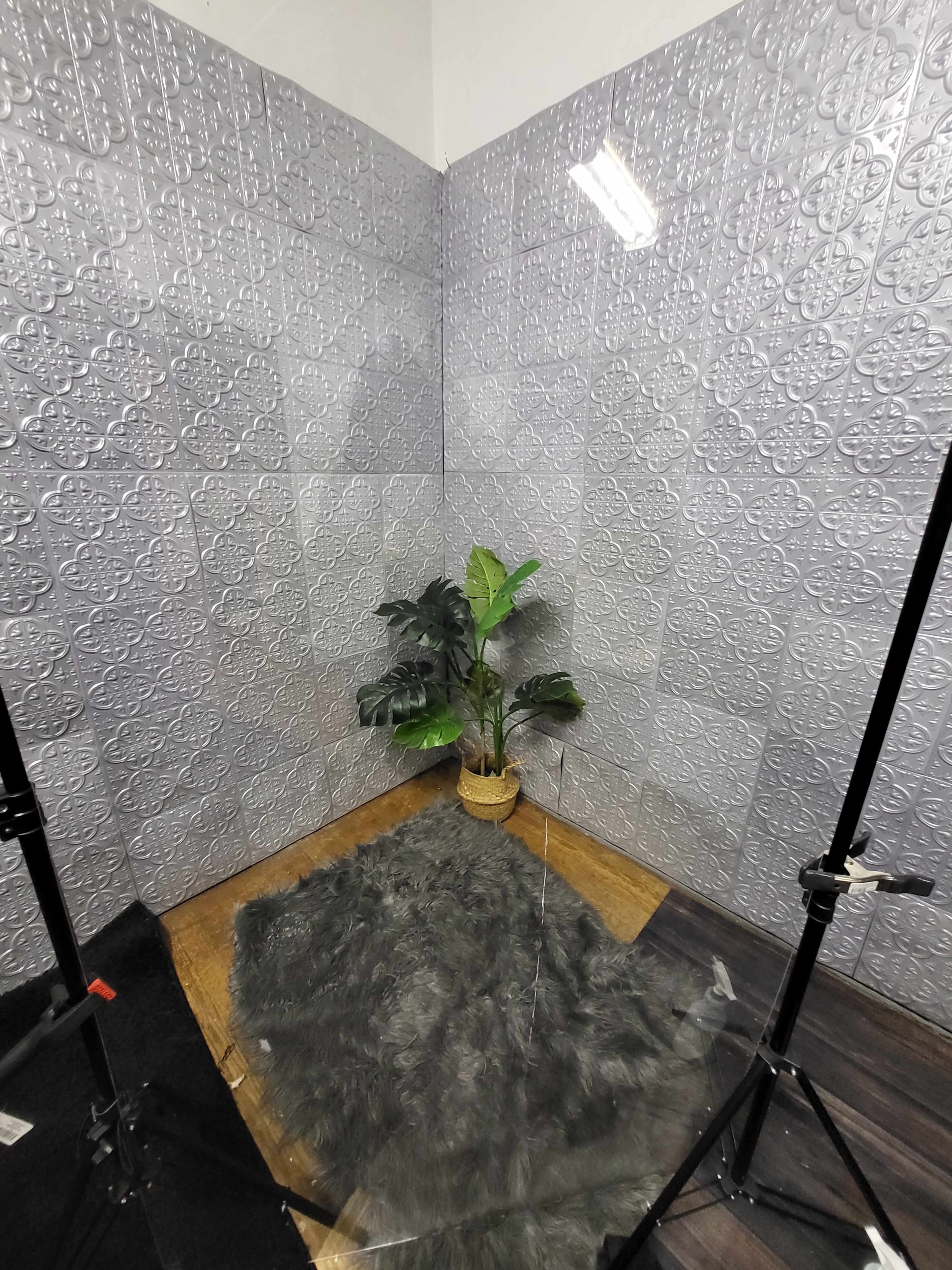 The image features a corner of a room with textured gray walls, a faux fur rug, and a potted plant.