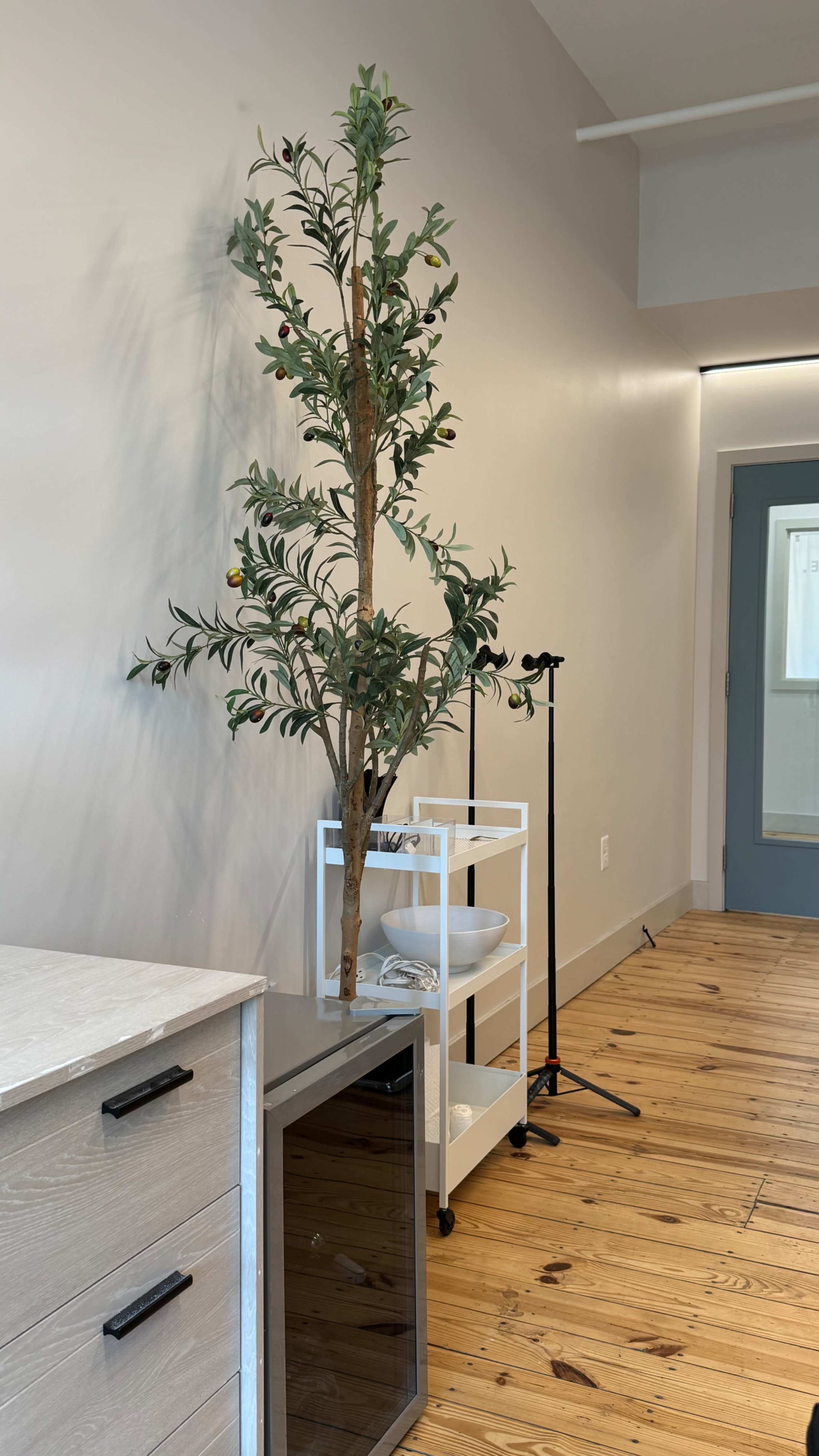 The image shows a small potted tree next to a white modular shelf and a microphone stand, with a glass door visible in the background.