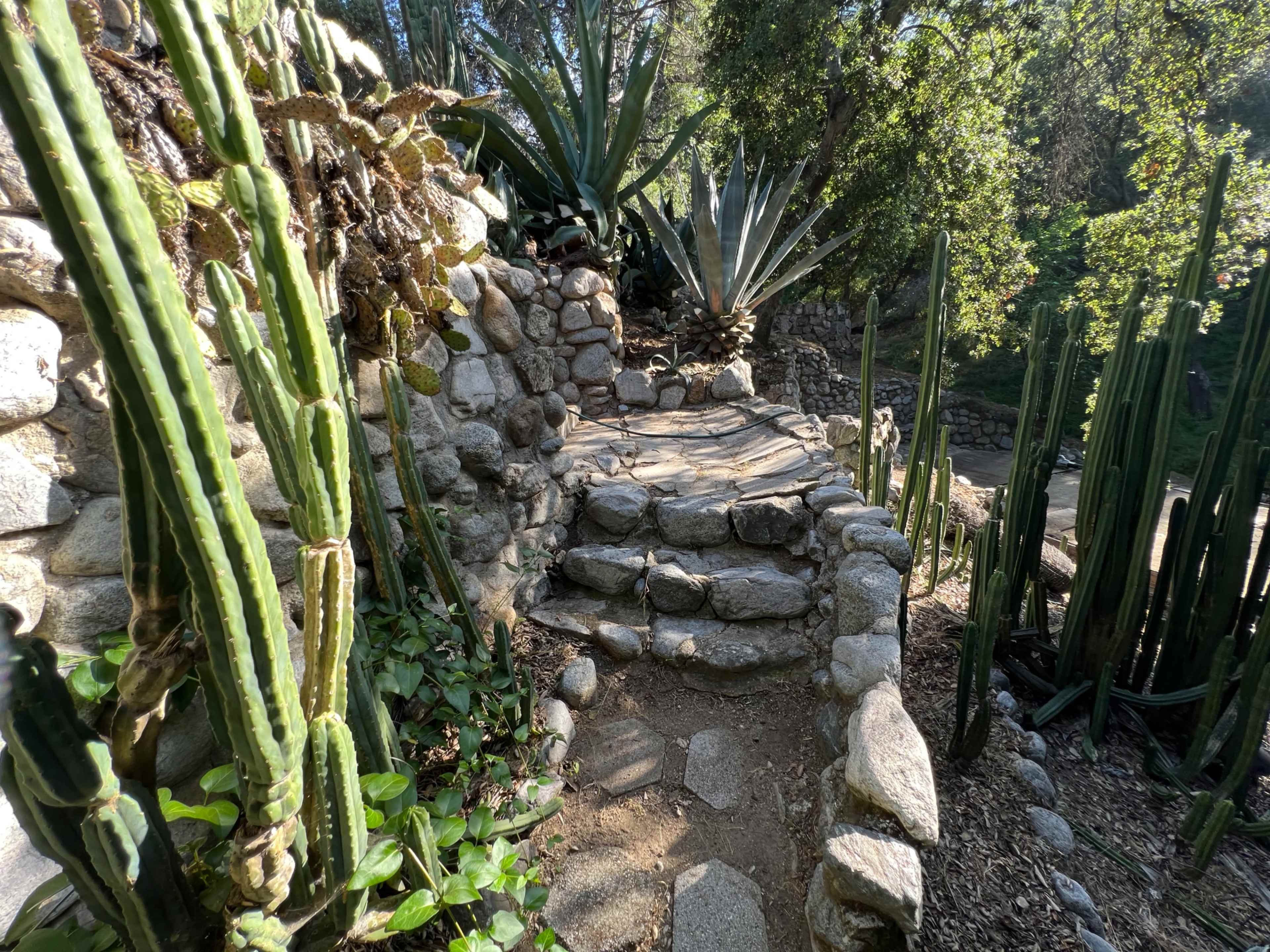A stone pathway winds through a garden surrounded by cacti and agave plants.