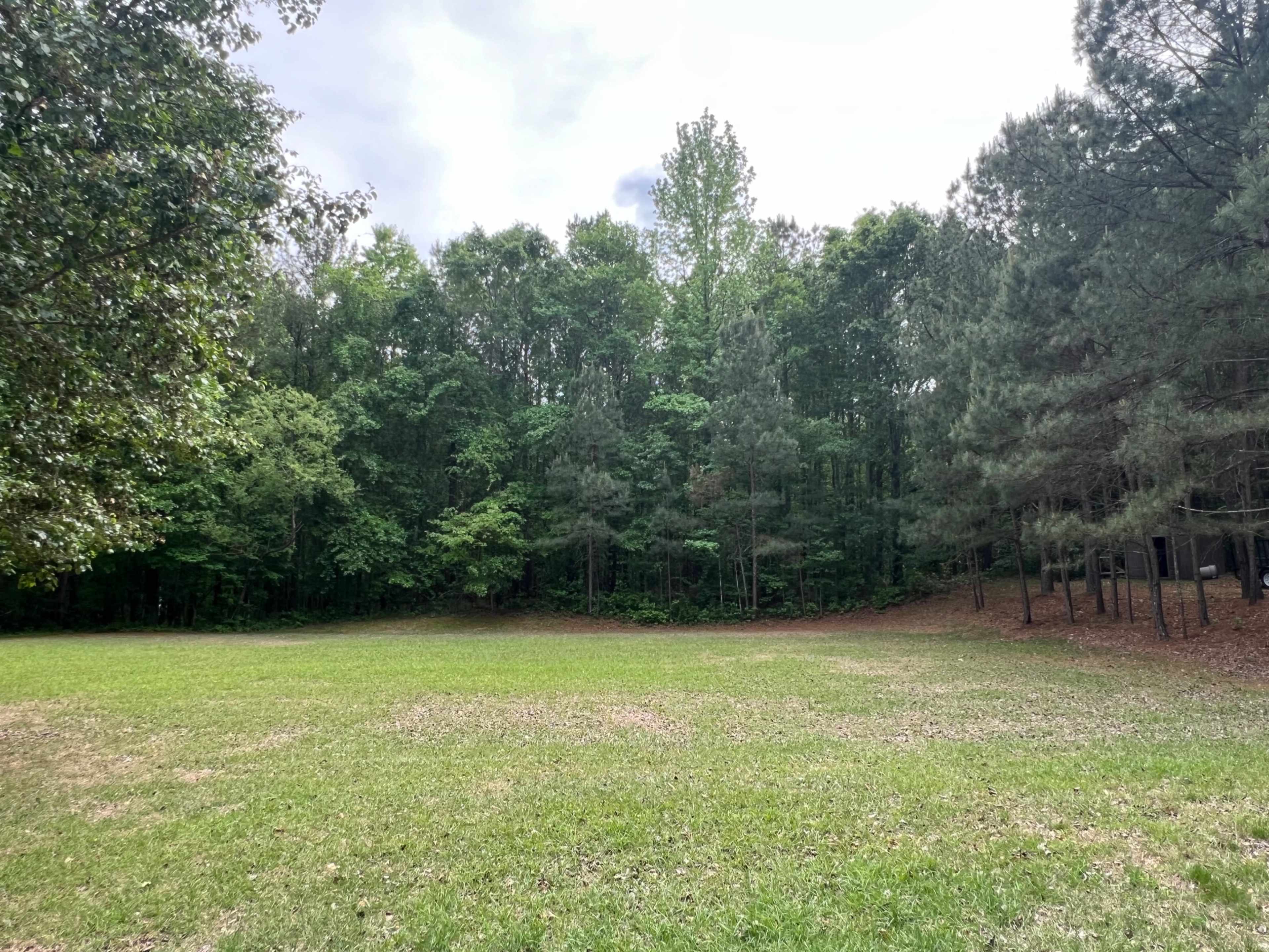 A grassy clearing is surrounded by a dense line of trees on three sides.