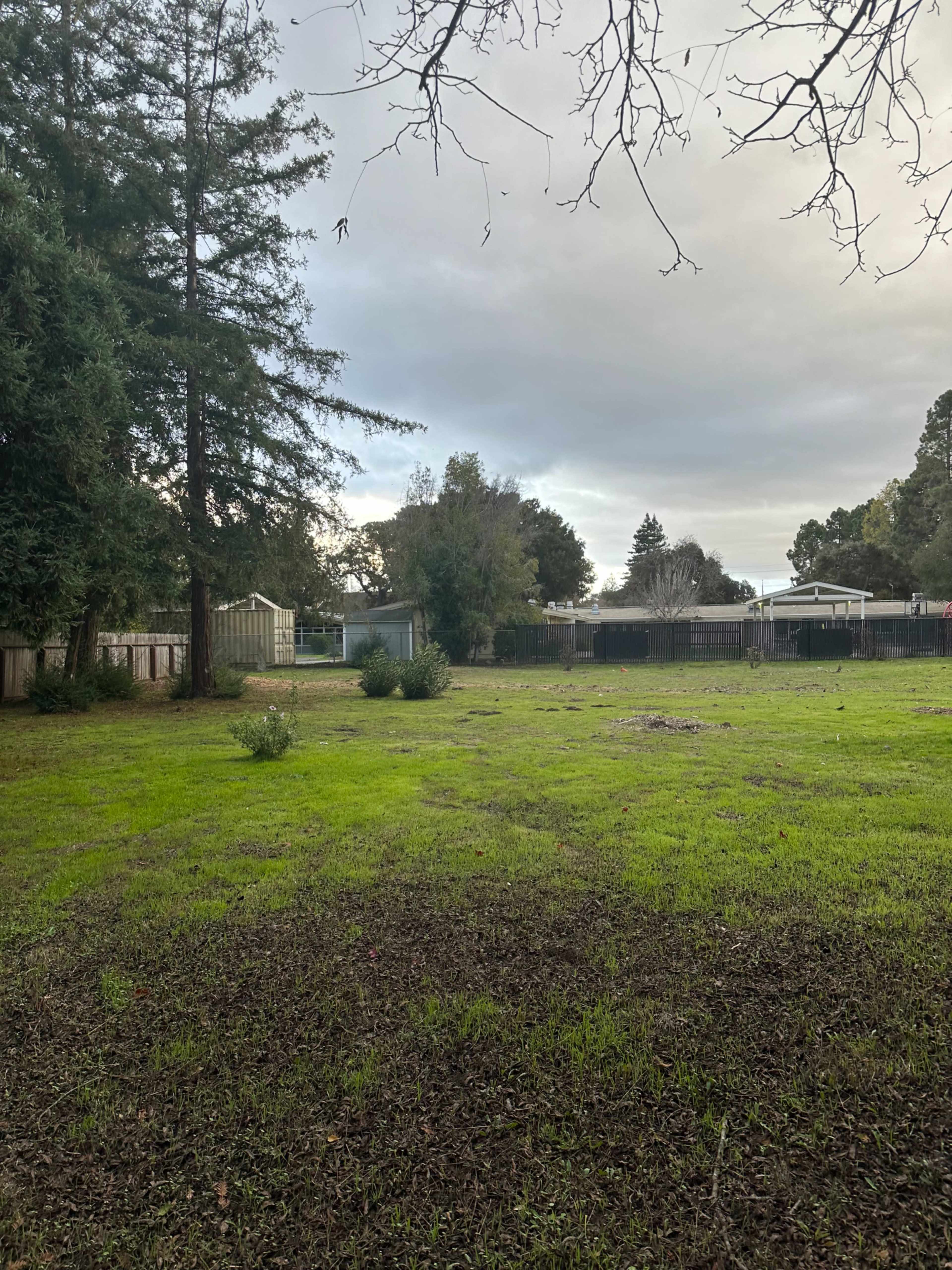 The image shows a grassy area with sparse vegetation, bordered by trees and structures in the background under a cloudy sky.