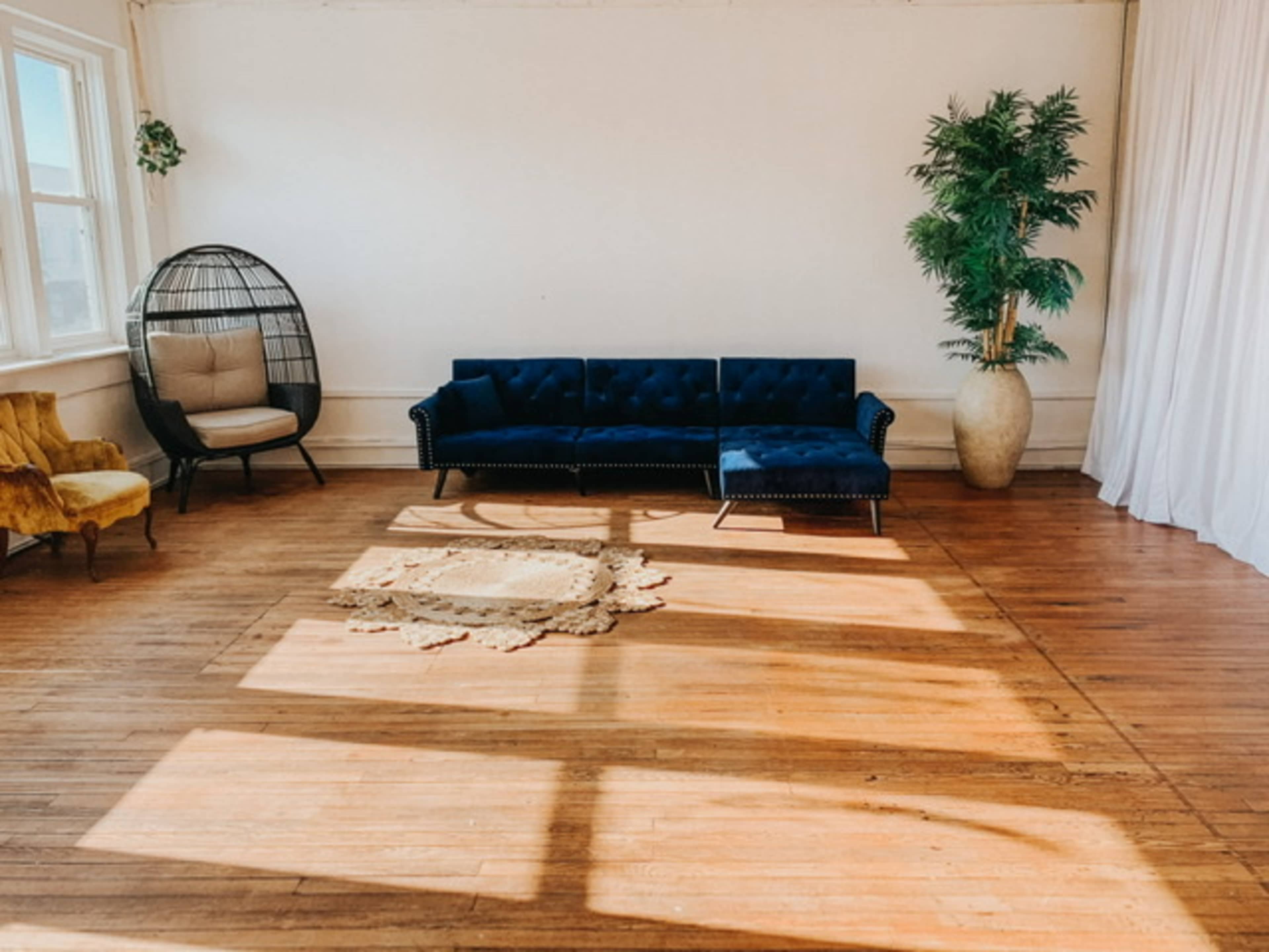 A spacious room featuring a blue couch, a hanging chair, a potted plant, and a woven rug on wooden flooring.