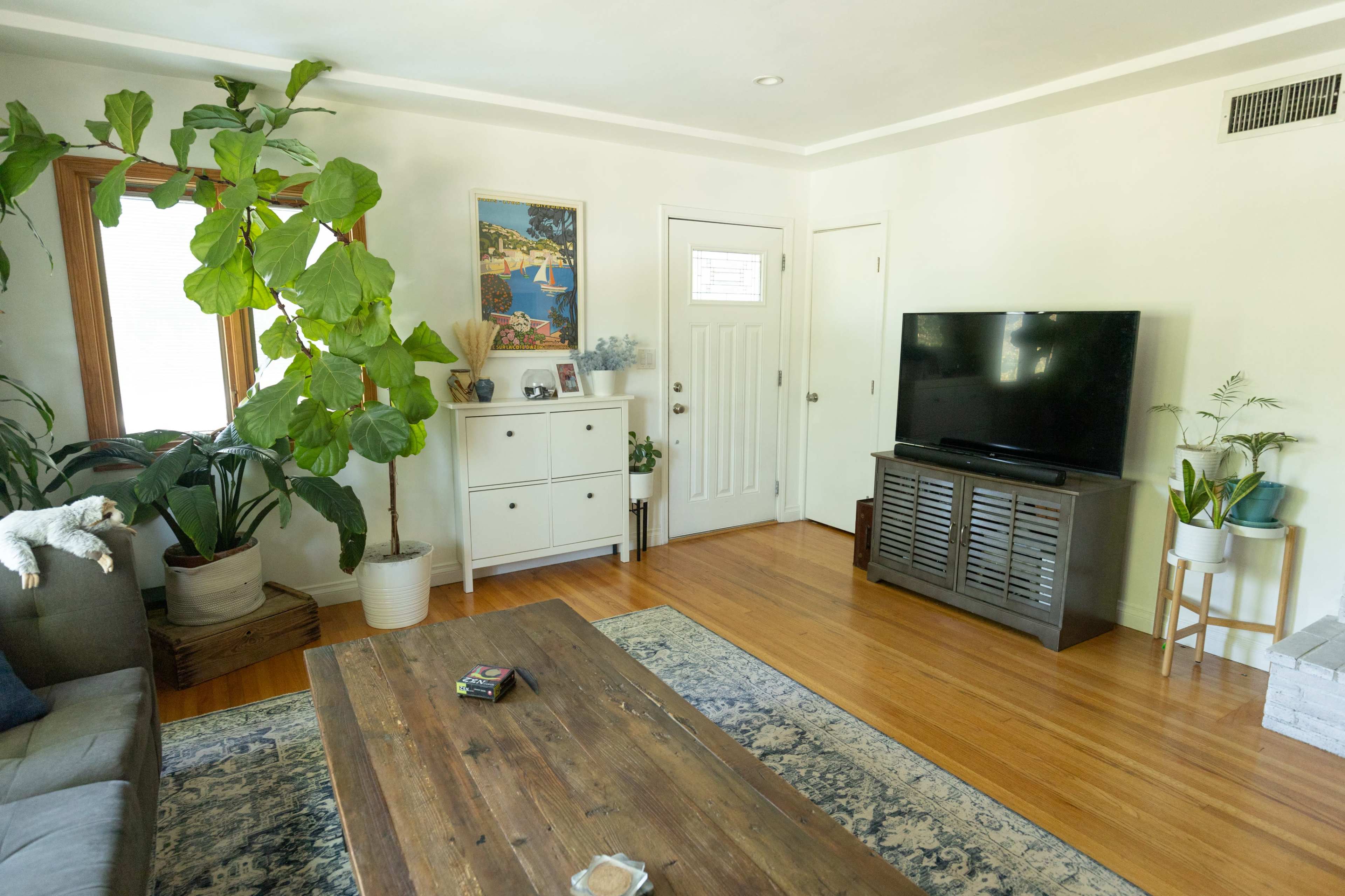 A living room features a gray sofa, a wooden coffee table, a TV on a stand, and potted plants, with a door and window providing natural light.