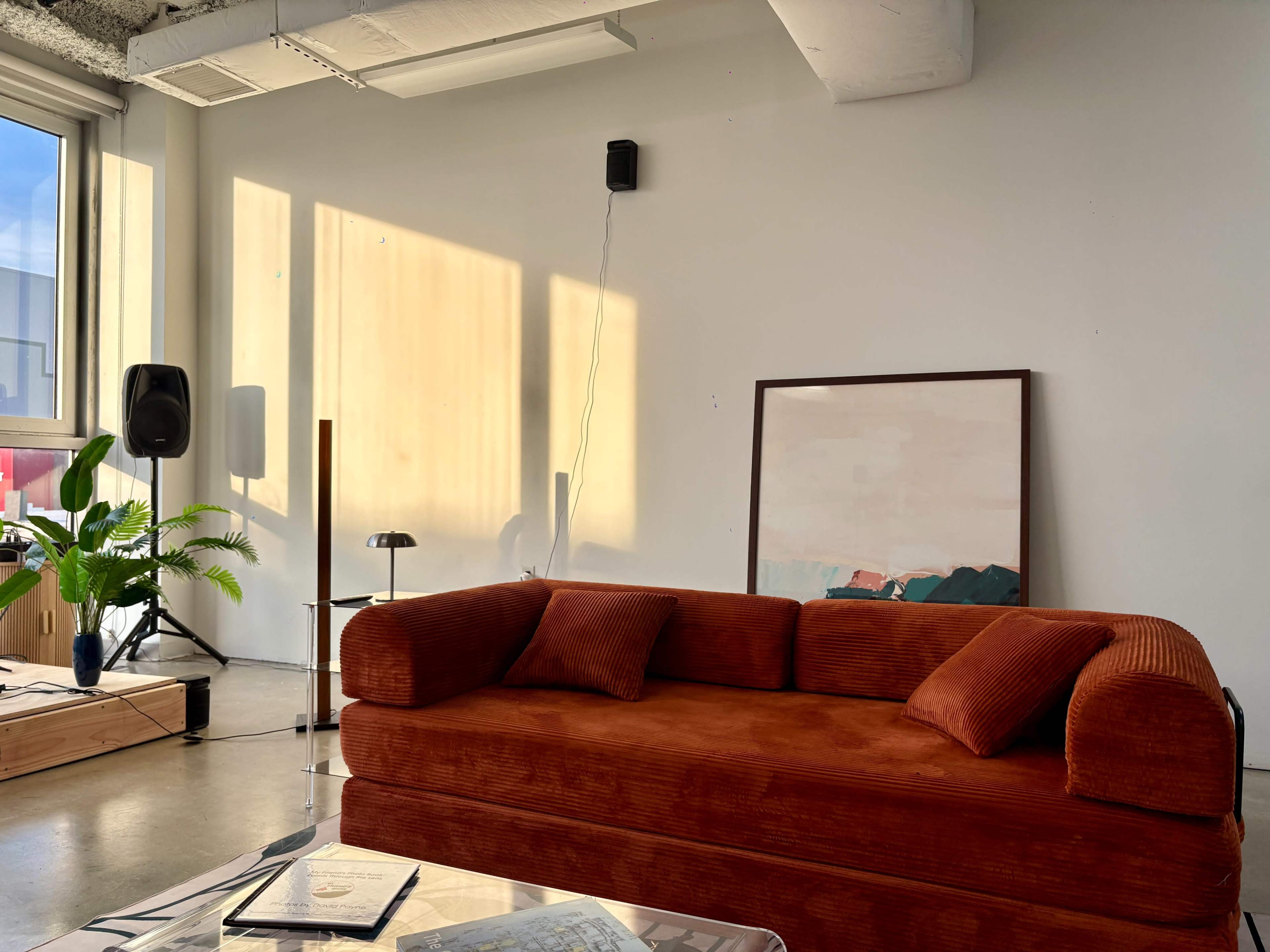 The image features a cozy living area with a rust-colored sofa, a framed artwork on the wall, a potted plant, and a speaker in a sunlit setting.