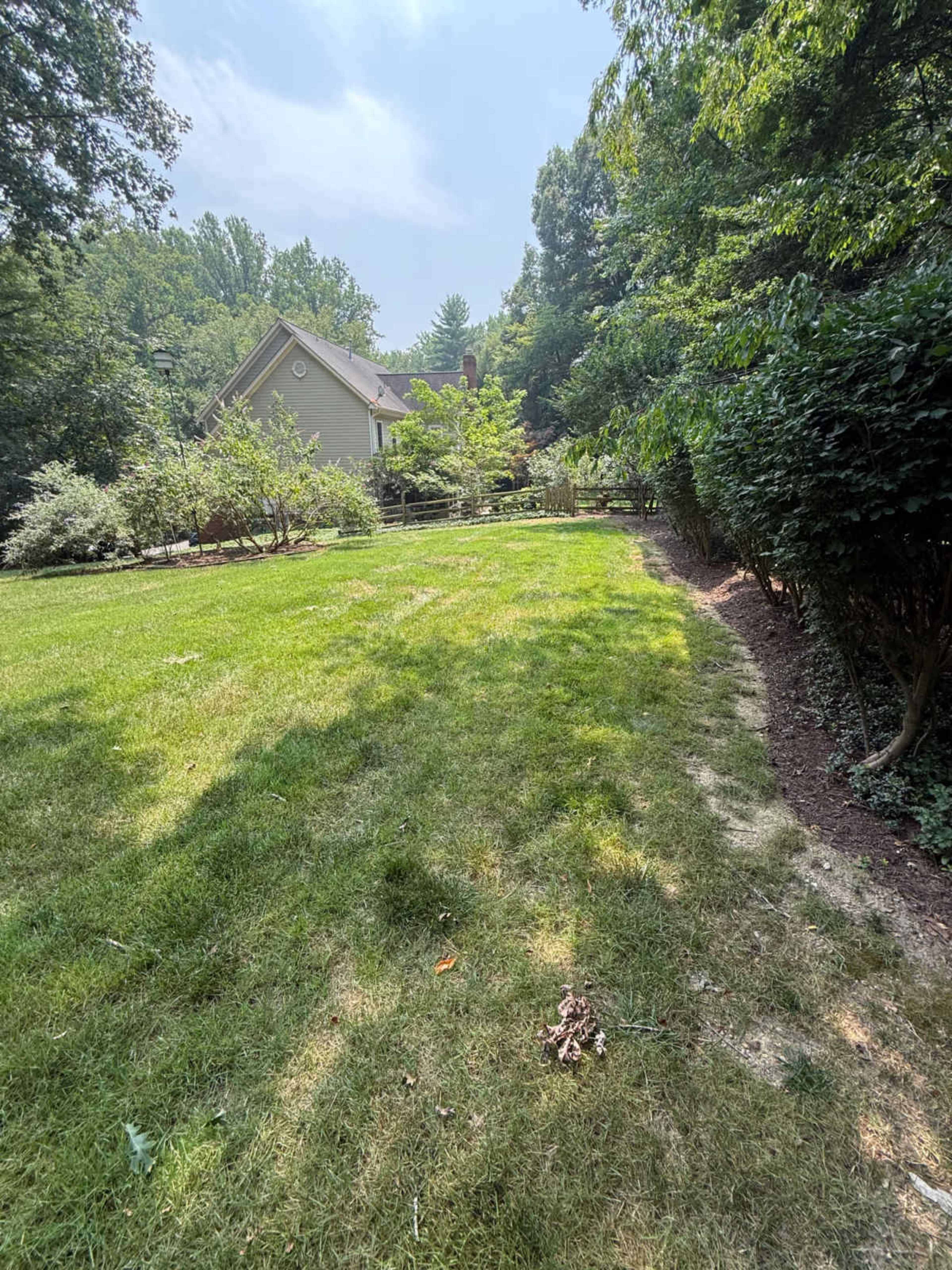 The image shows a grassy yard leading up to a house surrounded by trees and shrubs.