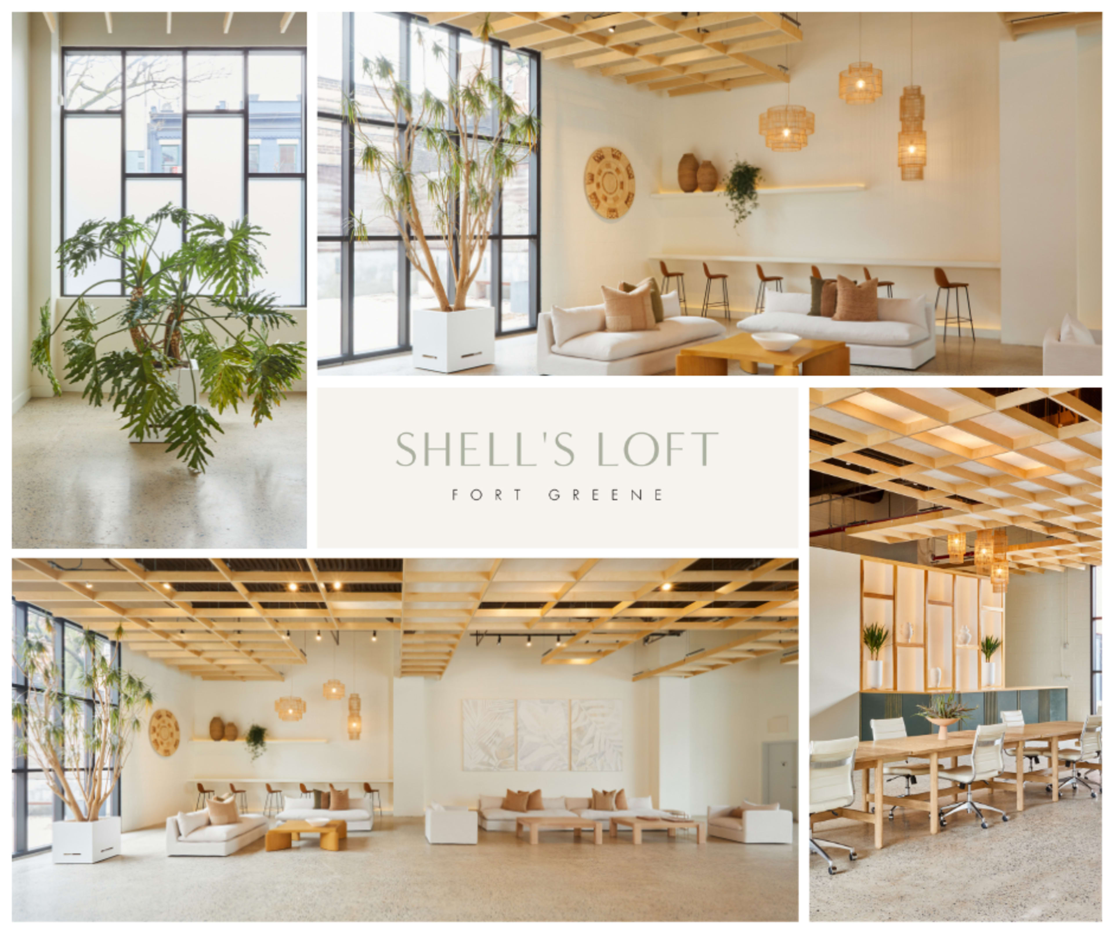 The image depicts a modern interior space known as Shell's Loft in Fort Greene, featuring green plants, light wood accents, comfortable seating areas, and large windows allowing natural light to enter.