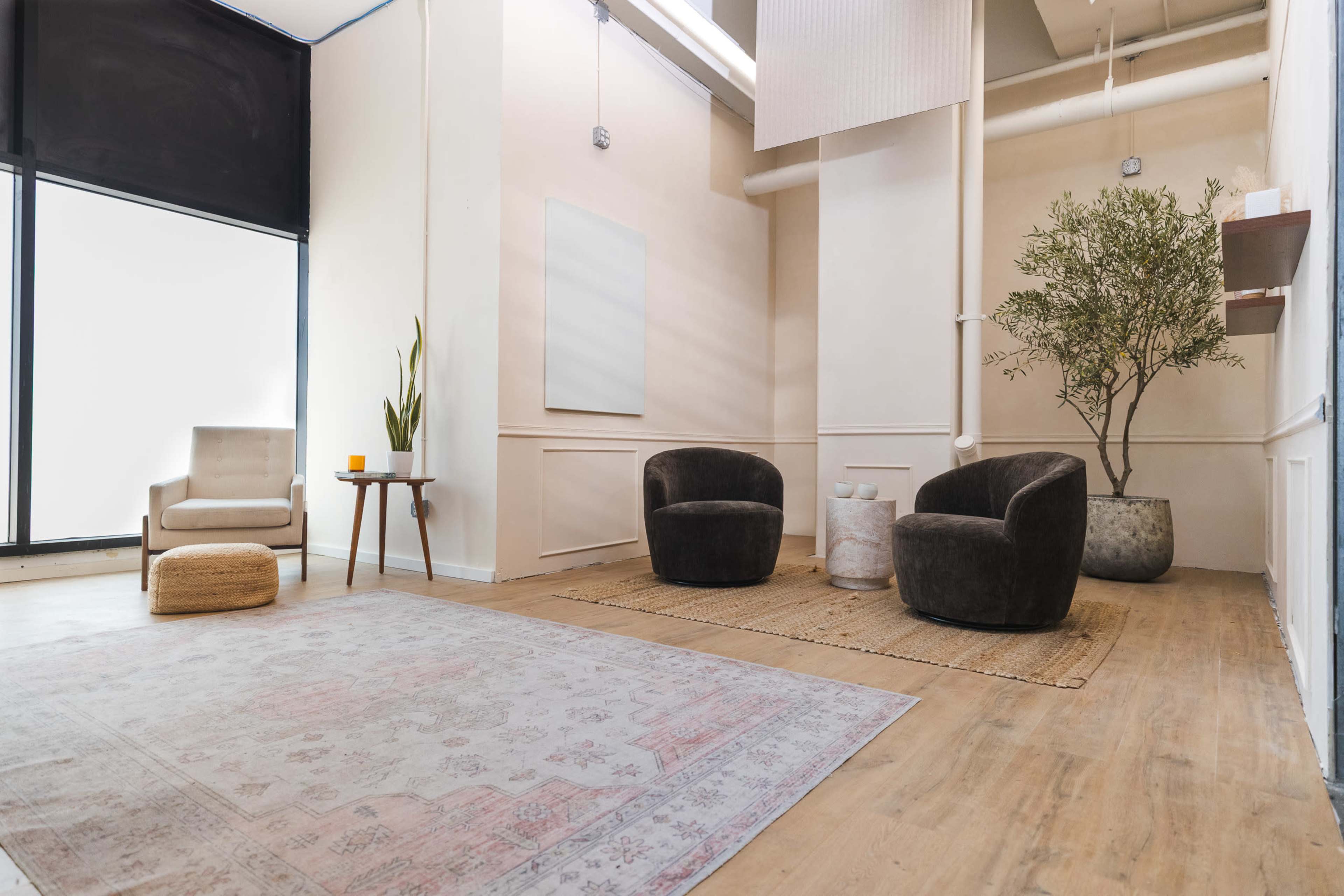 The image shows a spacious, softly lit room featuring two dark upholstered chairs, a light rug, a small wooden table, and a green plant in a concrete pot.