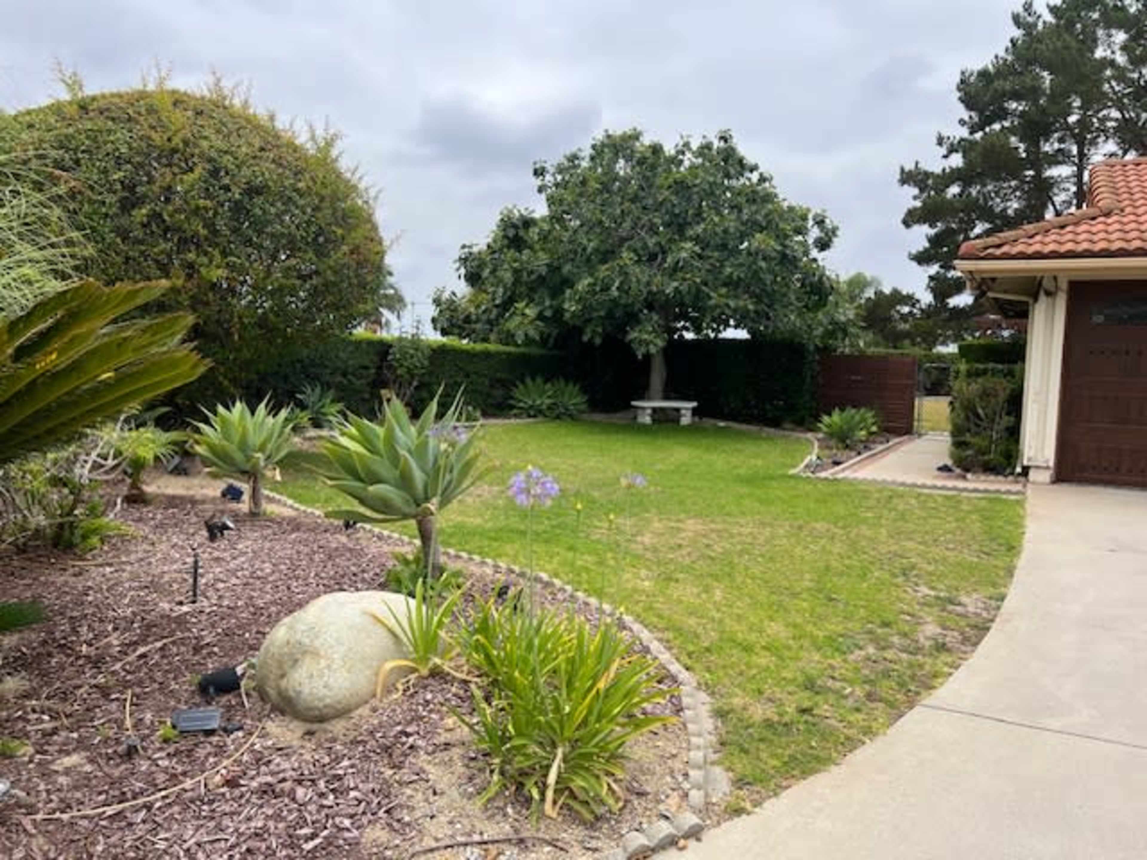 The image shows a landscaped garden with various plants, a stone bench under a tree, and a pathway leading to a driveway.