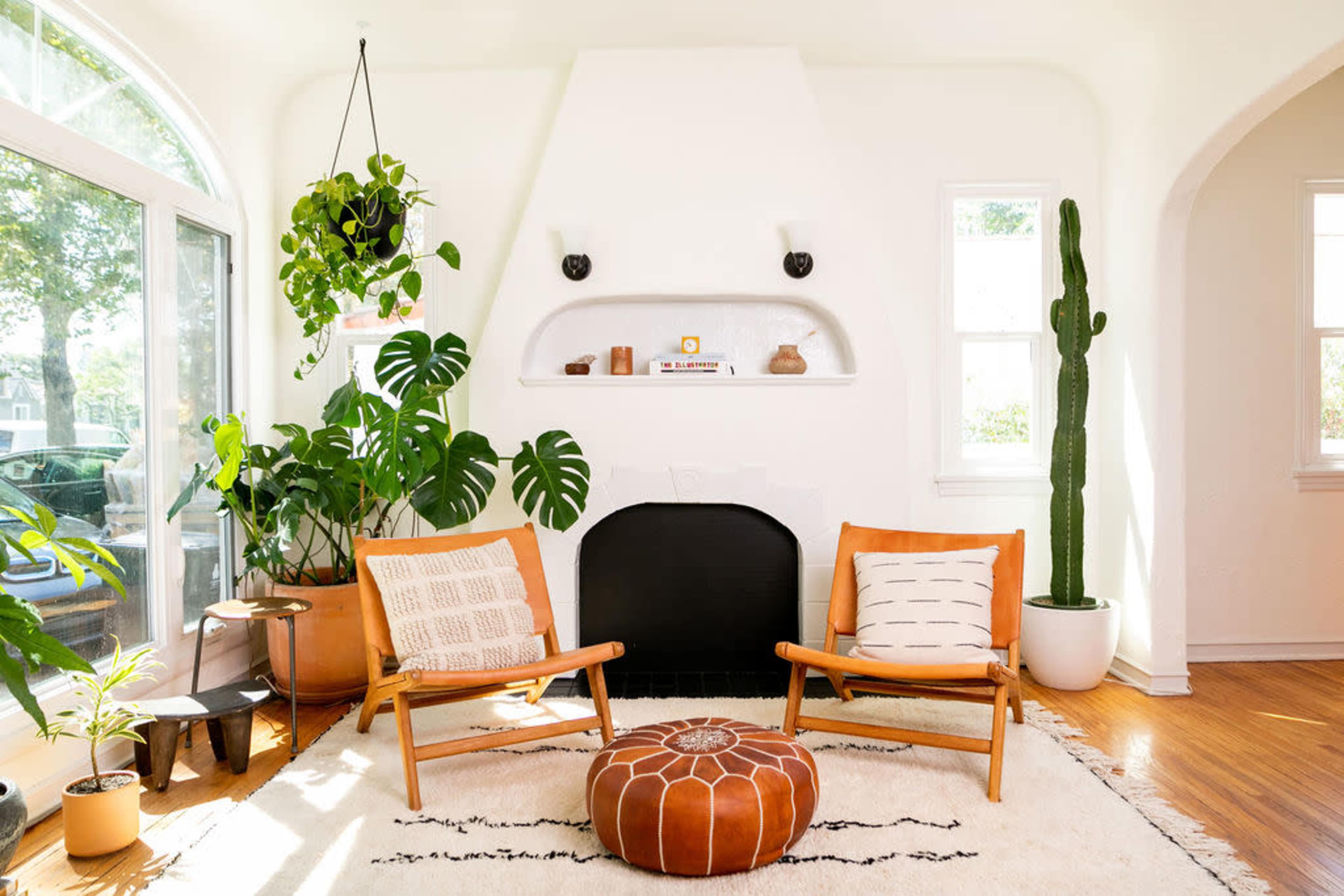 The image shows a bright room with two wooden chairs, a round pouf, a black fireplace, and various indoor plants arranged throughout.