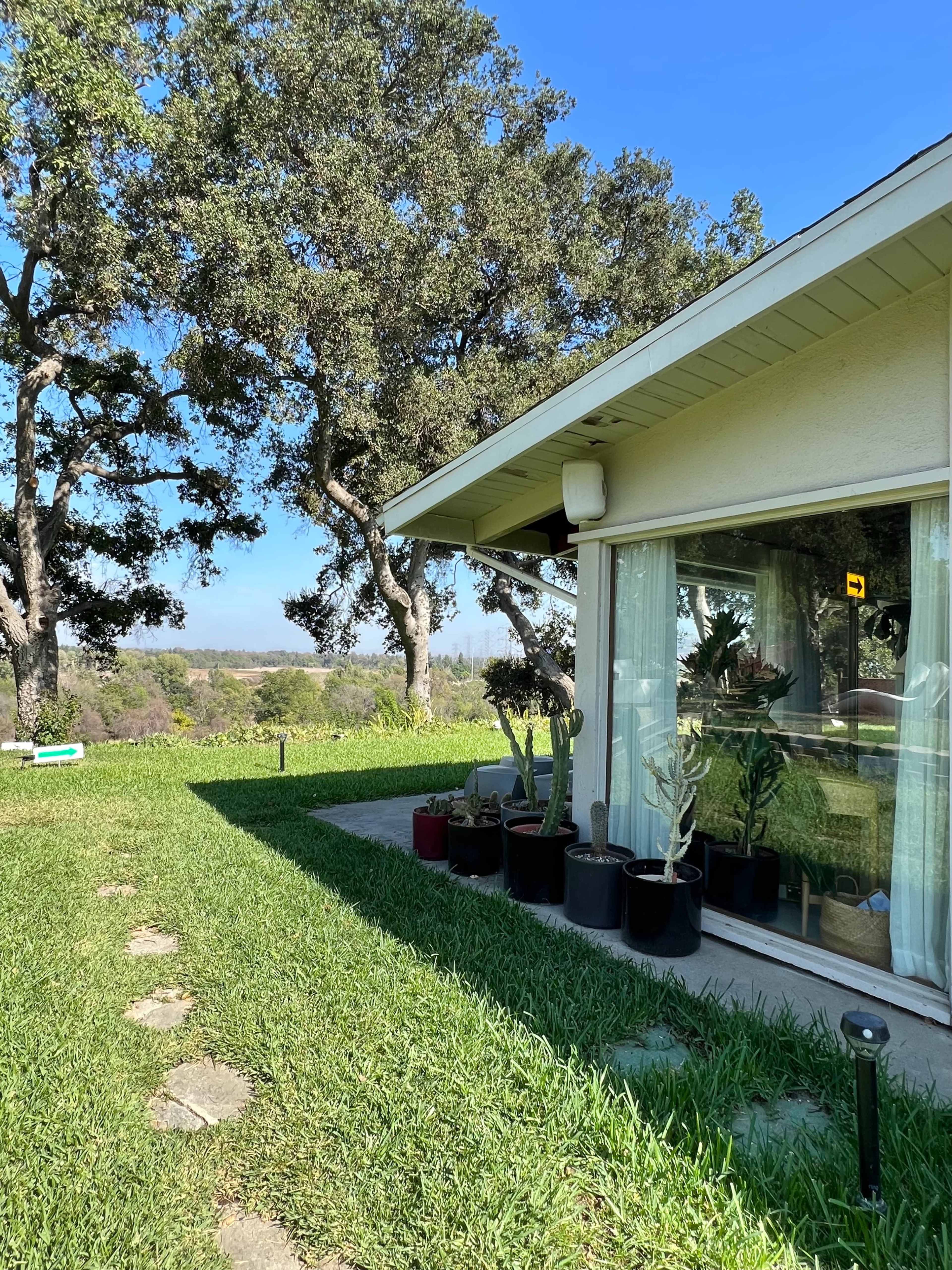 A house with a glass wall is surrounded by potted plants and green grass under a clear blue sky.