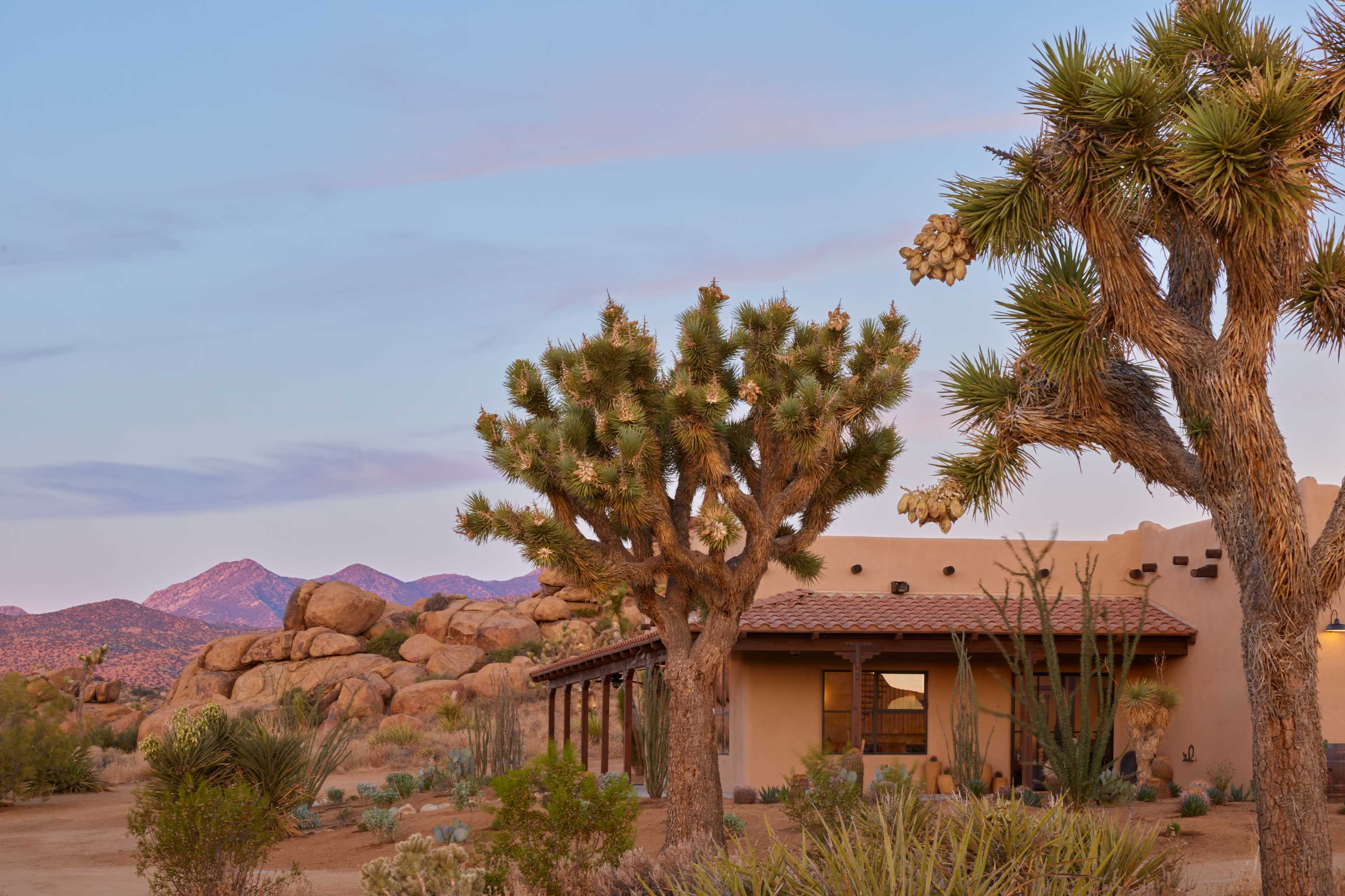 A desert scene features a single-story adobe-style building surrounded by Joshua trees and rocky mountain formations under a pastel sky.