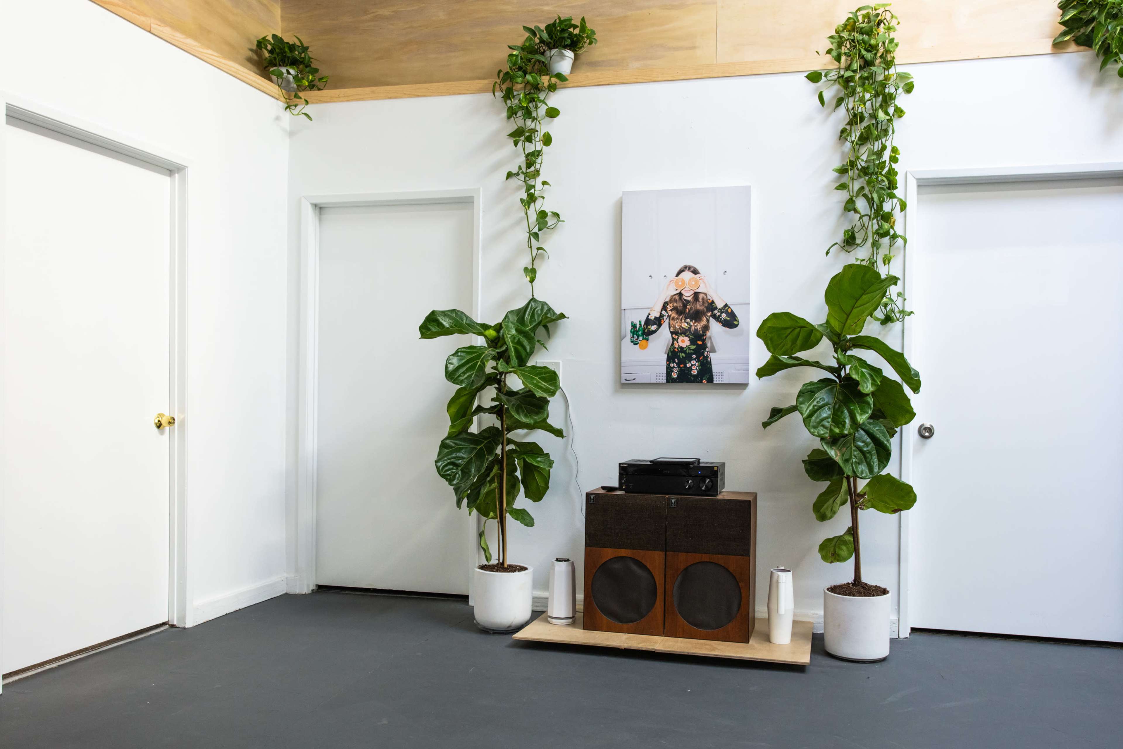 The image shows a well-lit room with two doors, a vinyl record player on a wooden stand, and two large potted plants flanking a framed photo on the wall.