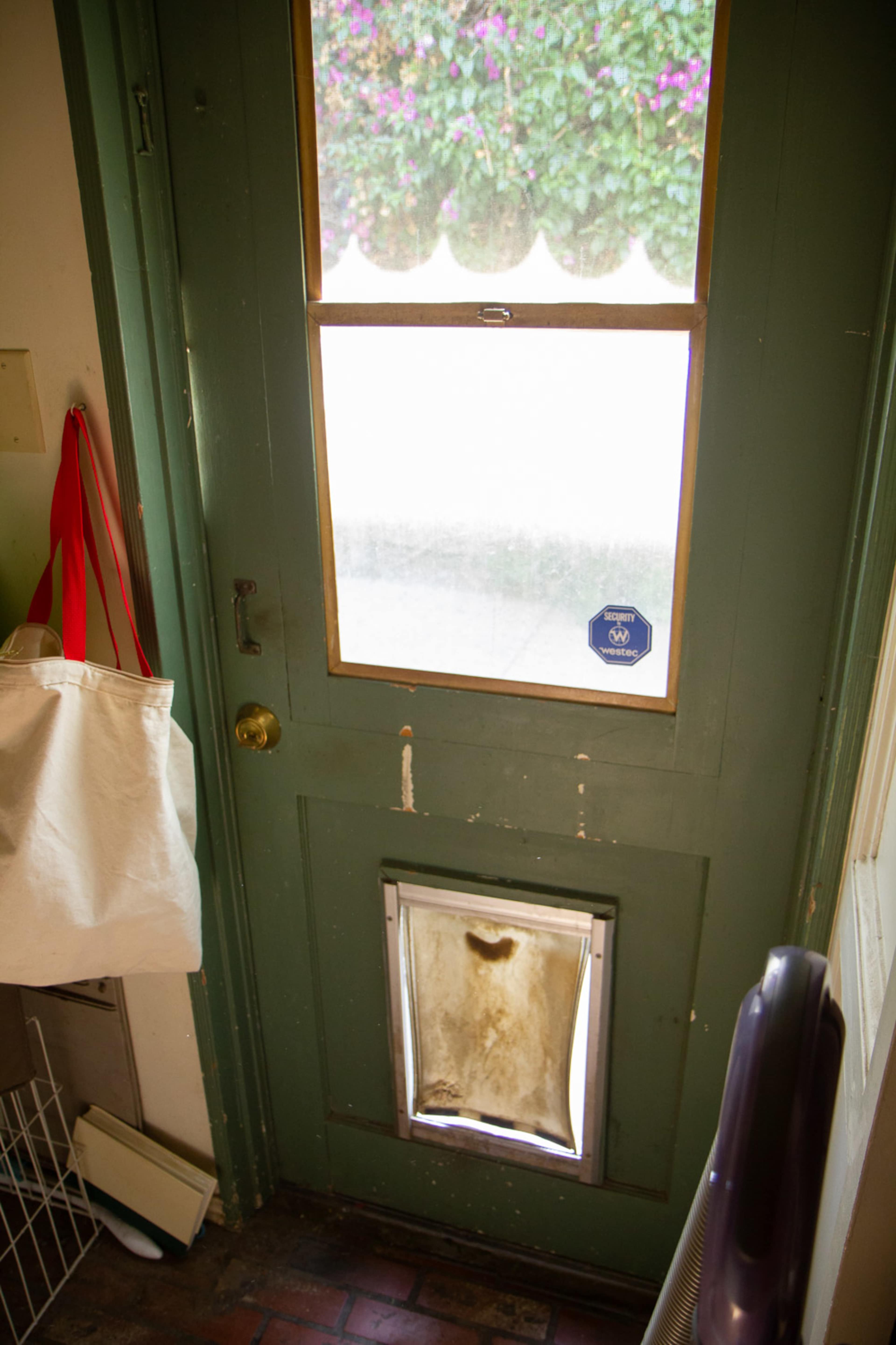 A green door with a partially open pet door at the bottom and a view of a garden outside.