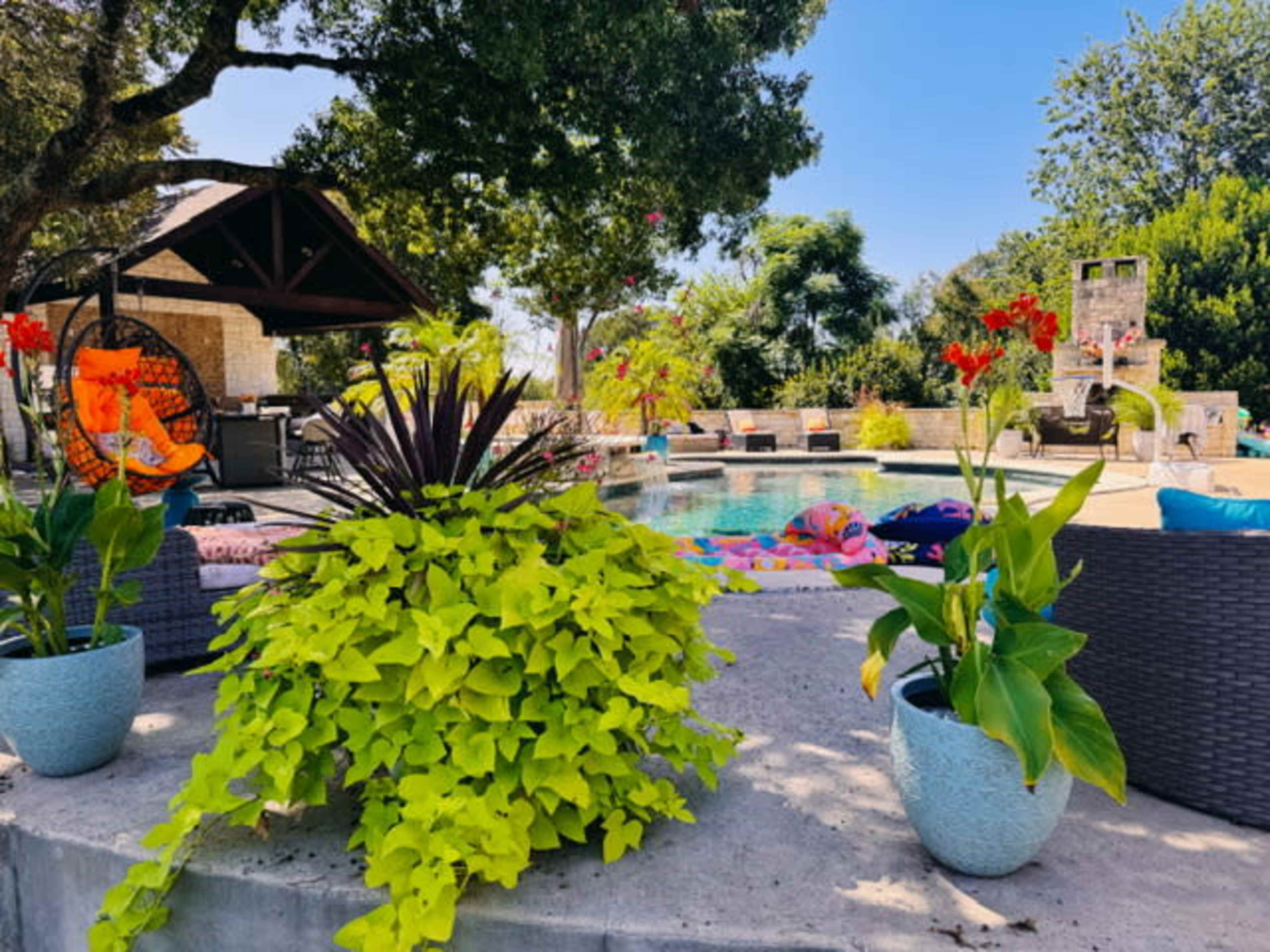 The image shows a well-maintained pool area surrounded by vibrant plants and seating, with a gazebo and colorful lounge chairs in the background.
