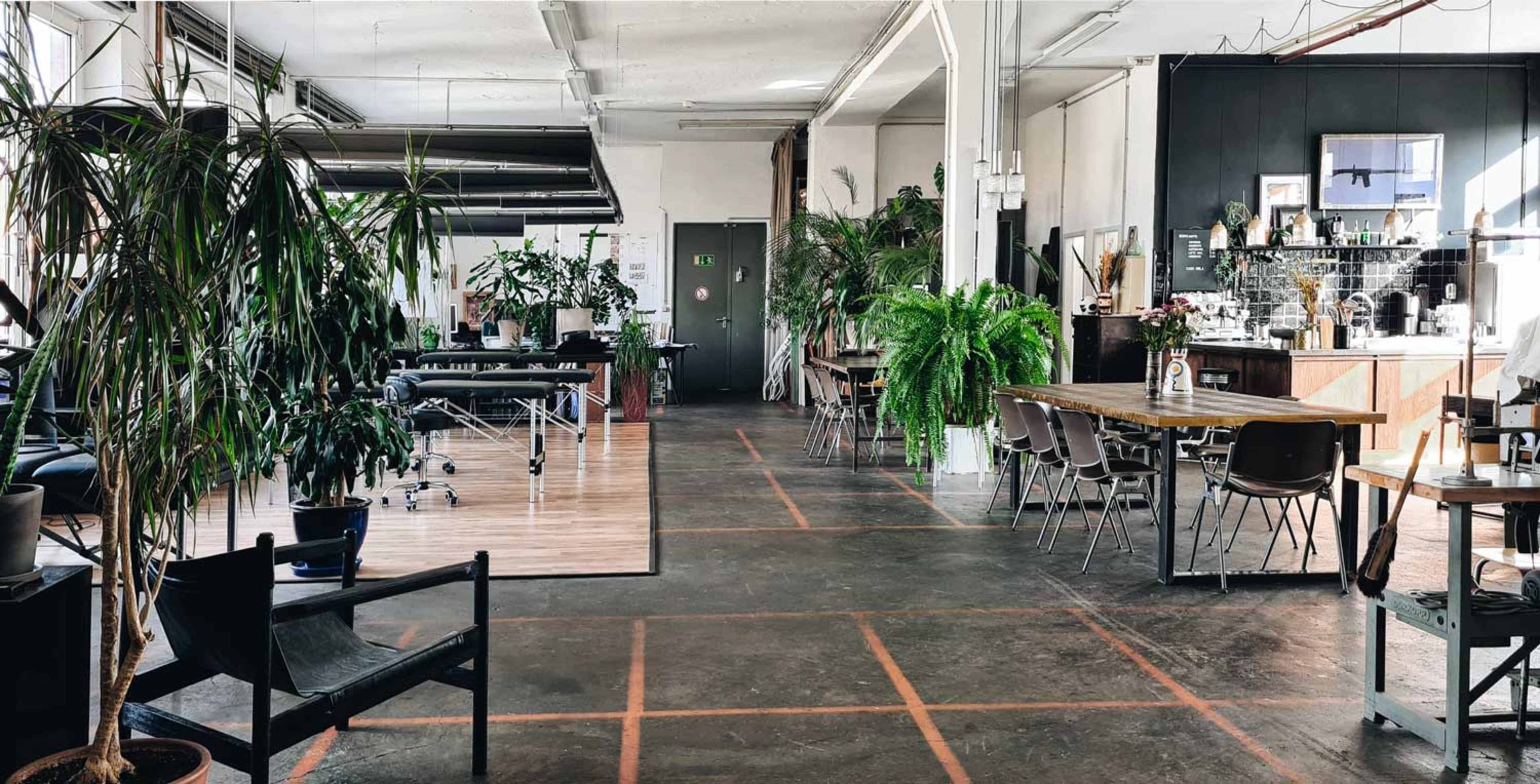 The image shows a spacious, plant-filled office with wooden tables, desks, and a kitchen area in an open layout.