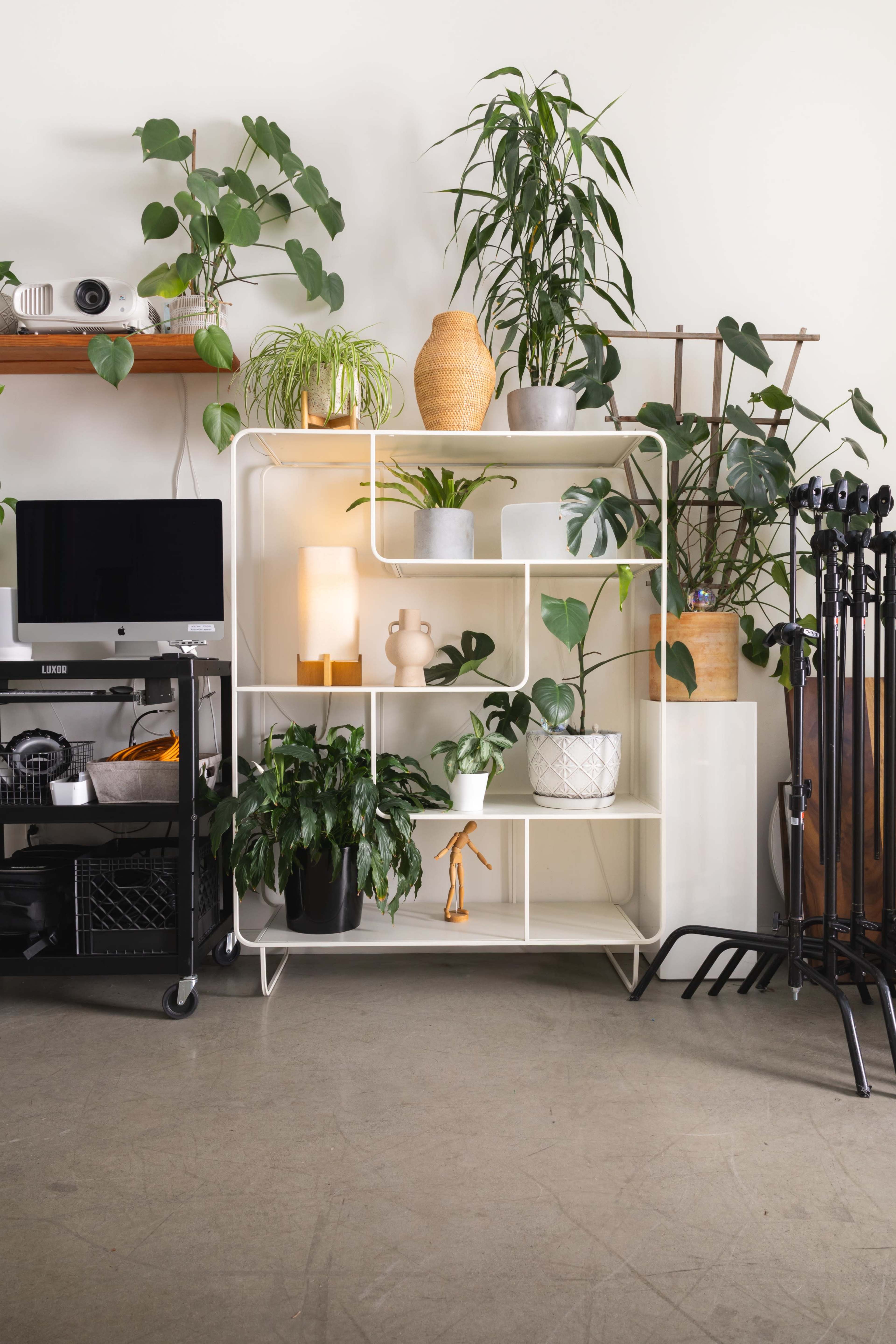 The image features a modern white shelving unit filled with various potted plants, set against a light-colored wall, alongside a cart with a monitor and tripod stands.