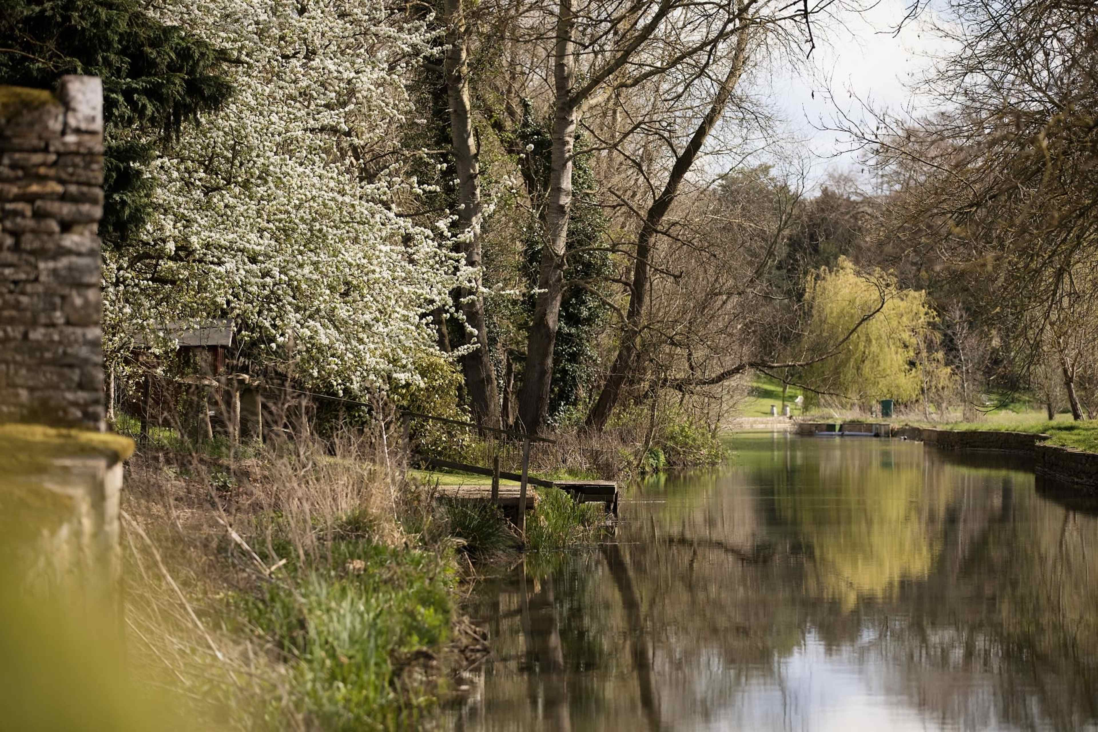 A calm canal is flanked by trees and blooming shrubs, reflecting the greenery on its surface.