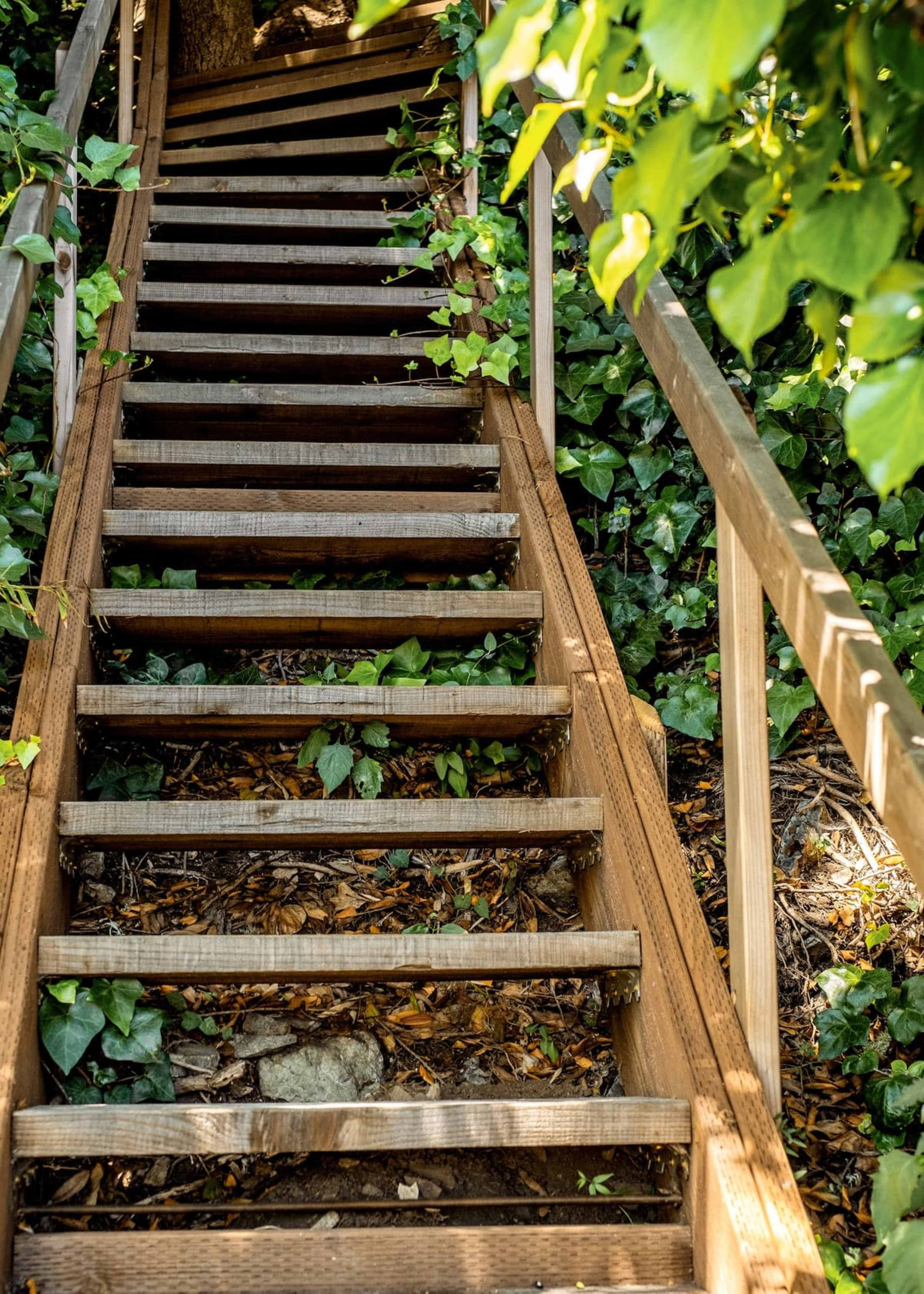 A wooden staircase surrounded by green foliage leads upward through a natural area.