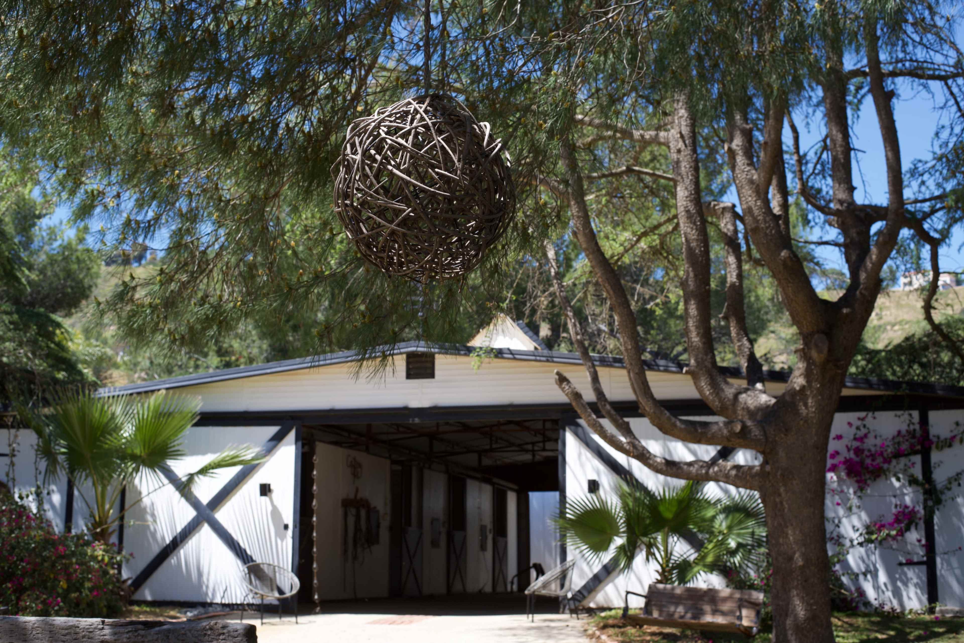 A round woven orb hangs from a tree branch in front of a white barn-style building surrounded by greenery.