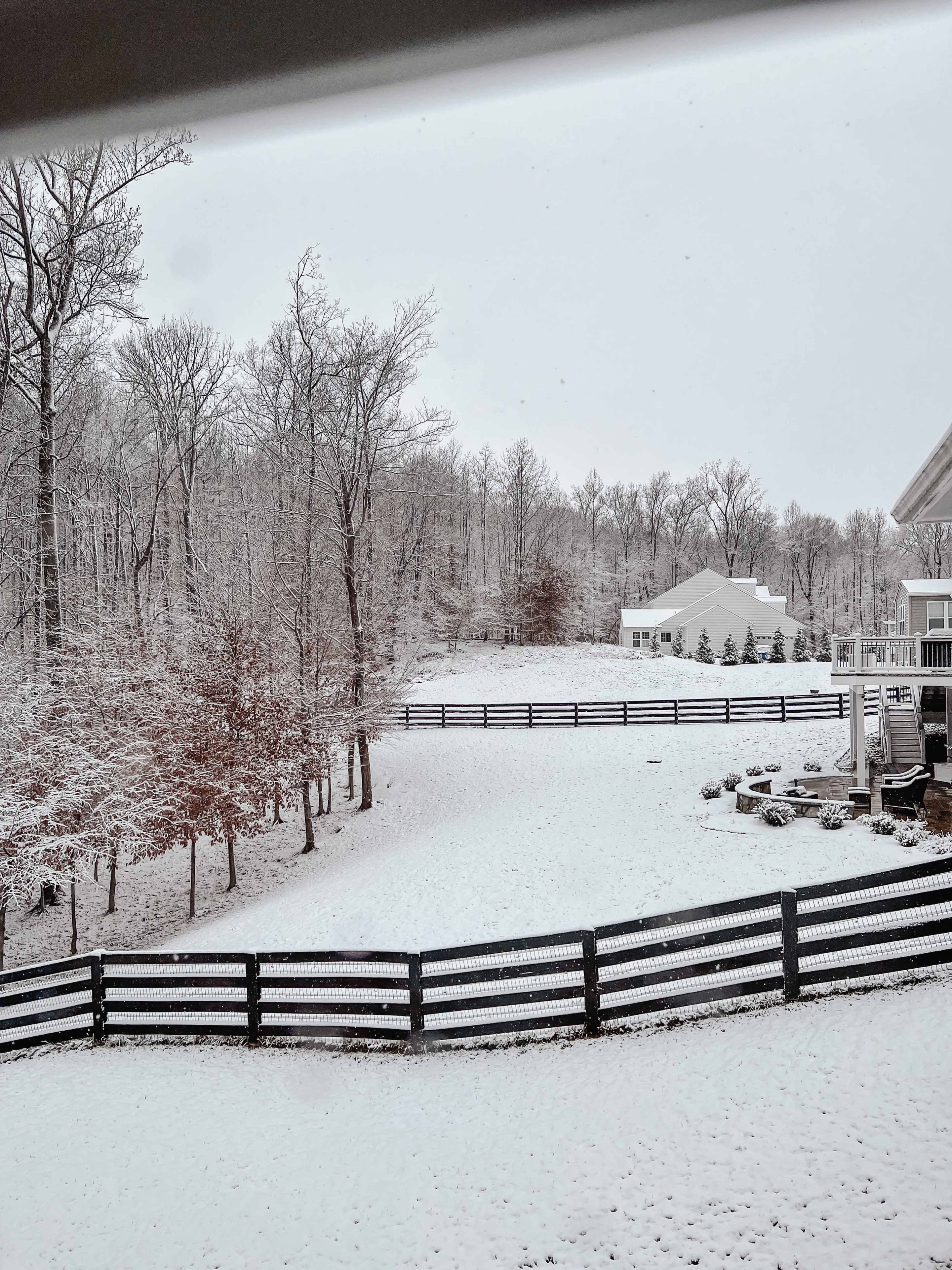 A snowy landscape features bare trees and a white-covered yard, bordered by a black wooden fence, with a house visible in the background.