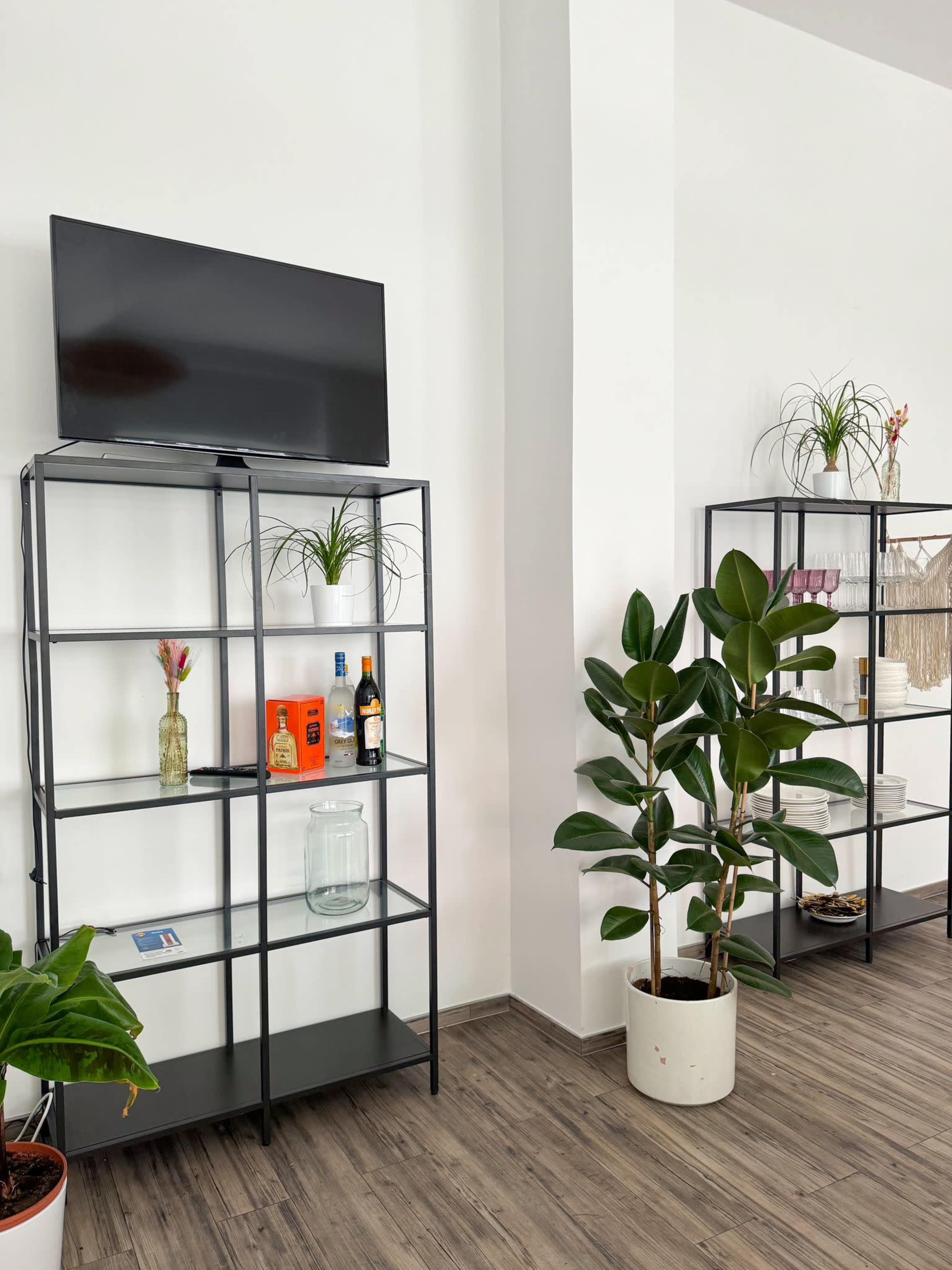 A room features two black metal shelving units, a television mounted on the wall above one unit, and various plants and decorative items arranged on the shelves.