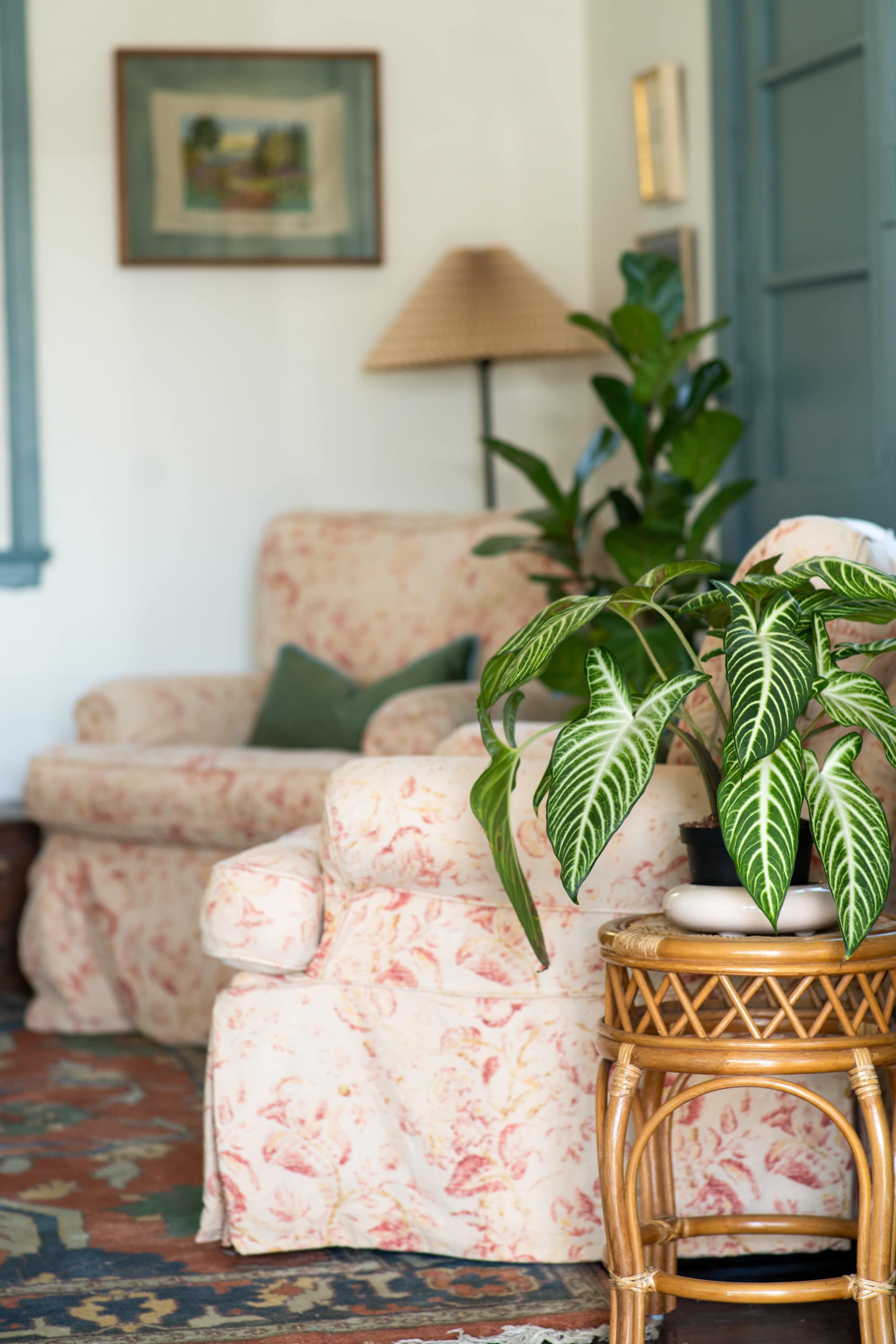 A floral-patterned armchair and a small bamboo side table with a potted plant are arranged in a cozy living room setting.
