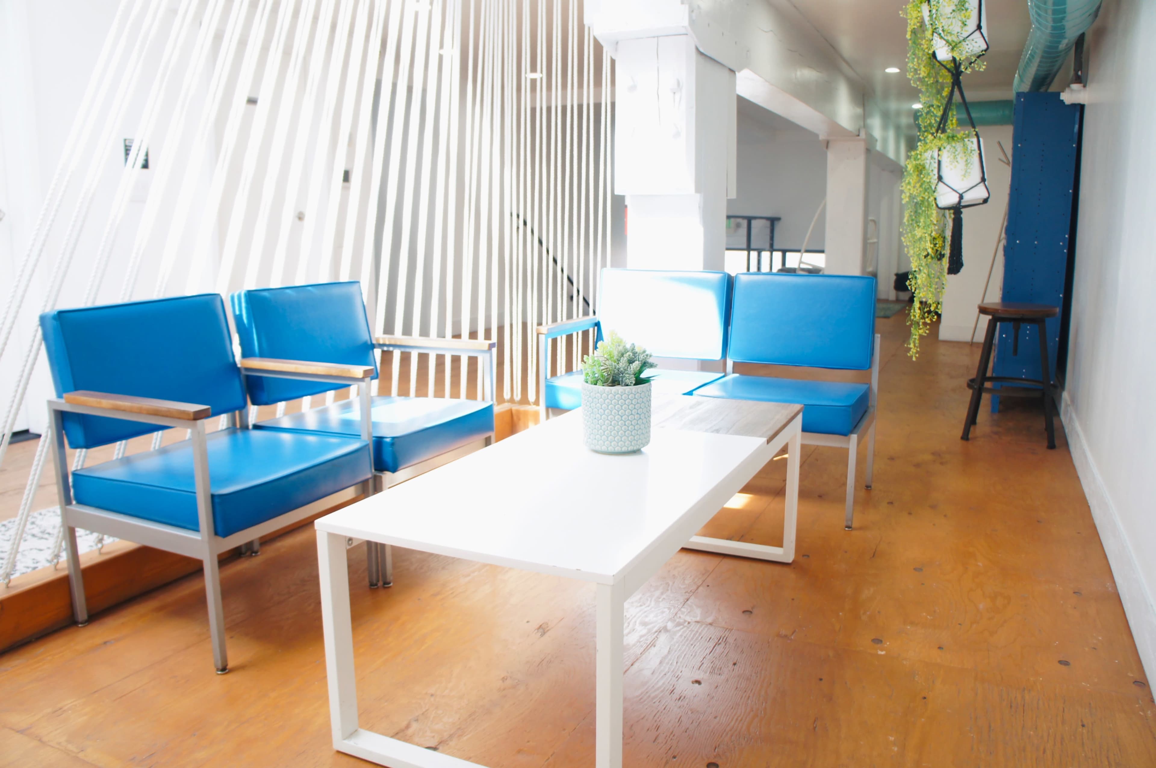 A bright indoor space features two blue chairs and a white coffee table, with a potted plant on top, surrounded by wooden flooring and vertical white slats.