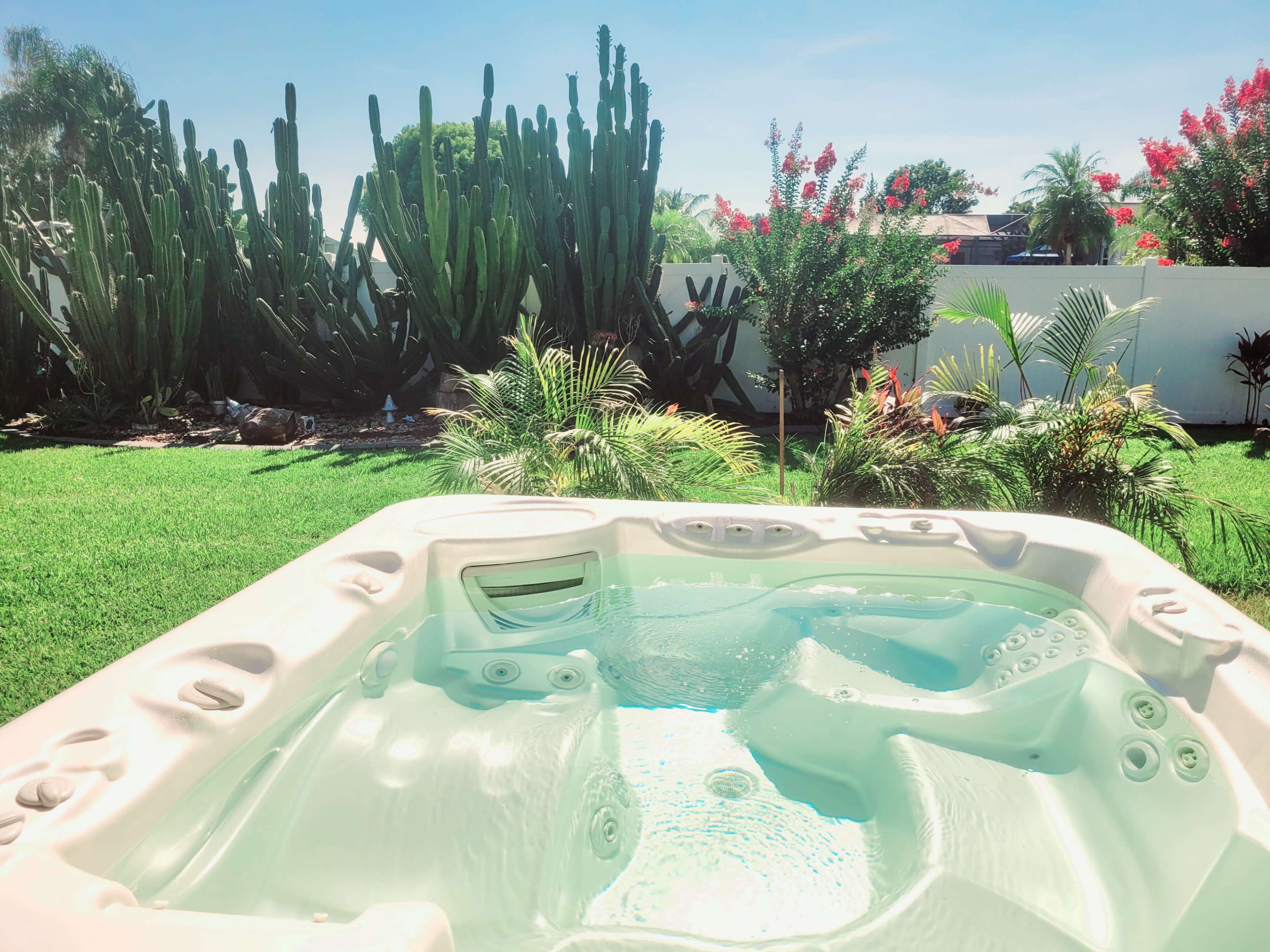 A hot tub is situated in a lush backyard surrounded by tall cacti and vibrant plants under a clear blue sky.
