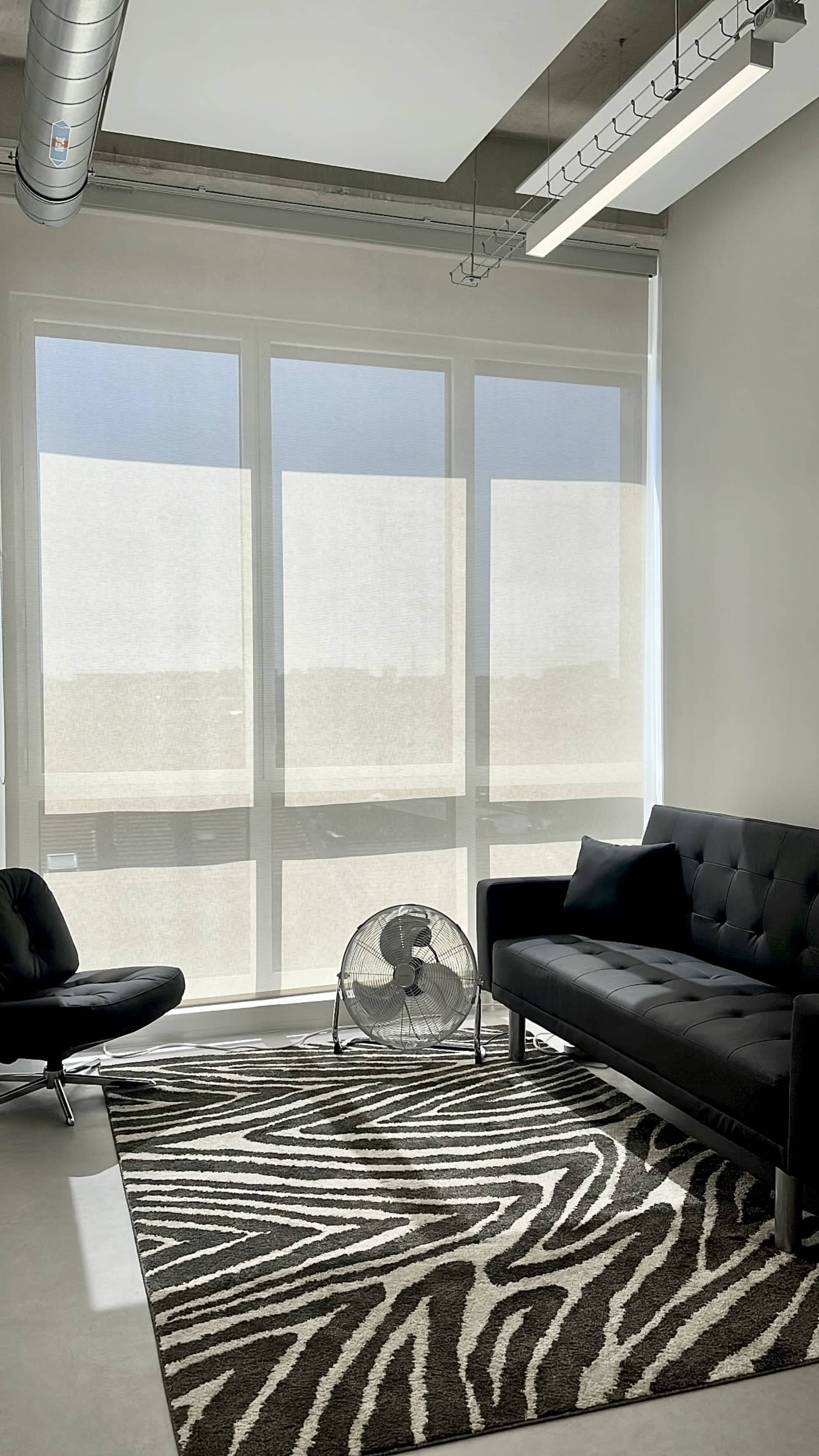 The image shows a modern office space featuring a black sofa, an armchair, a standing fan, and a zebra-striped rug, with large windows allowing natural light.