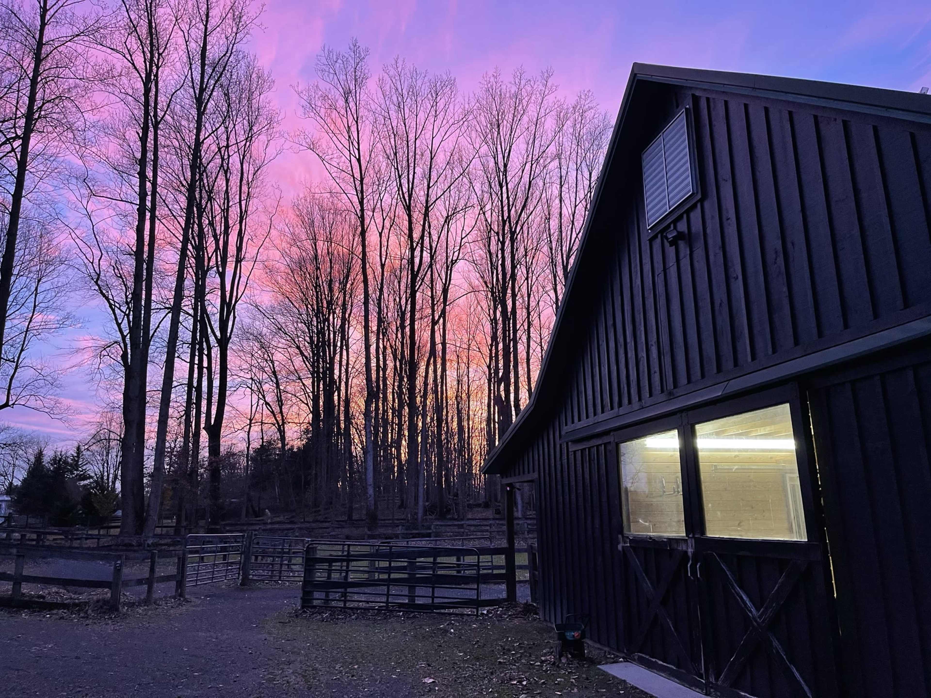 Suburban Alpaca and Llama Farm Image in Clifton, Fairfax Station, VA