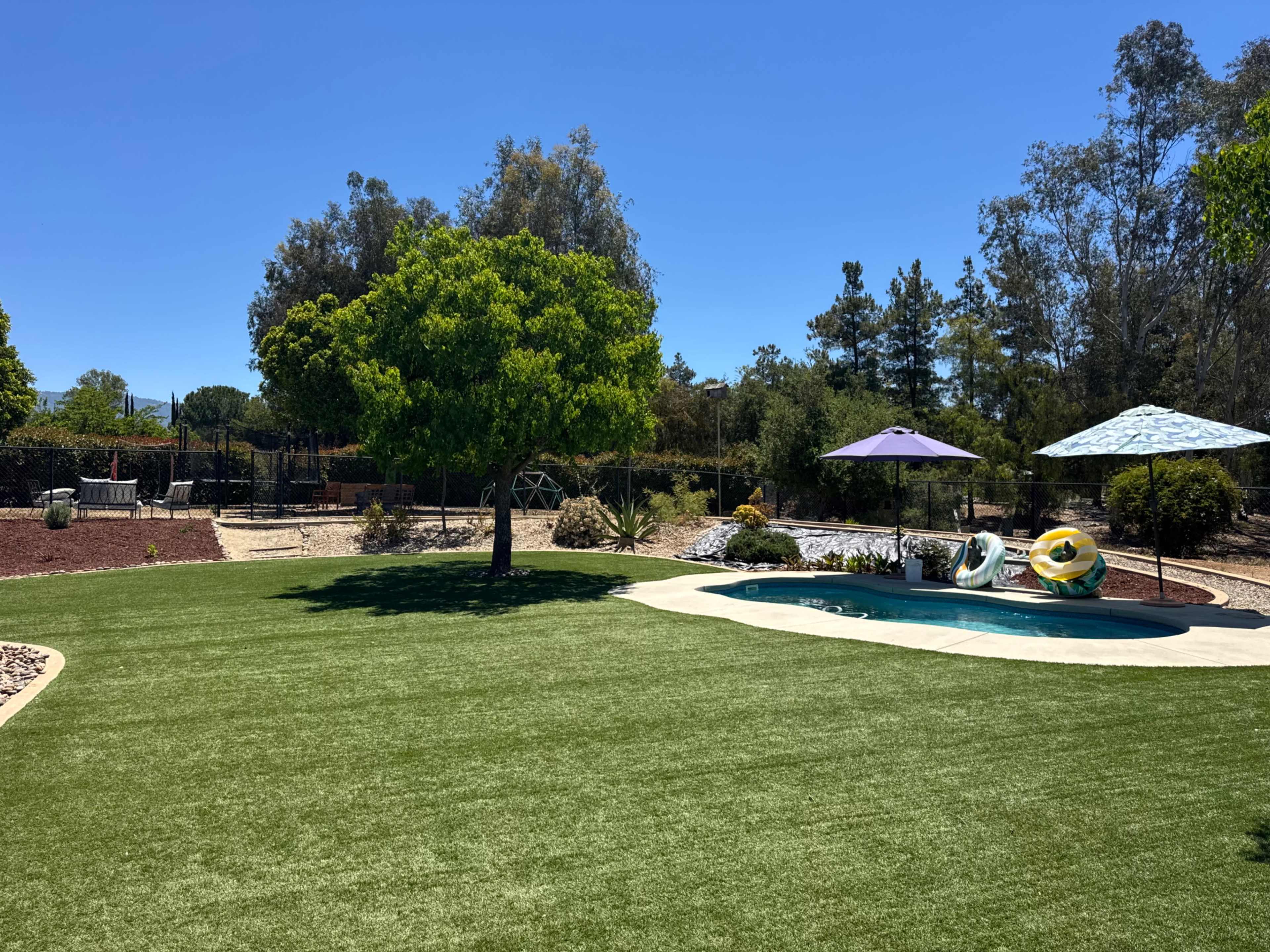 The image shows a well-maintained backyard with a swimming pool, two umbrellas, and a neatly trimmed green lawn surrounded by trees and landscaping.