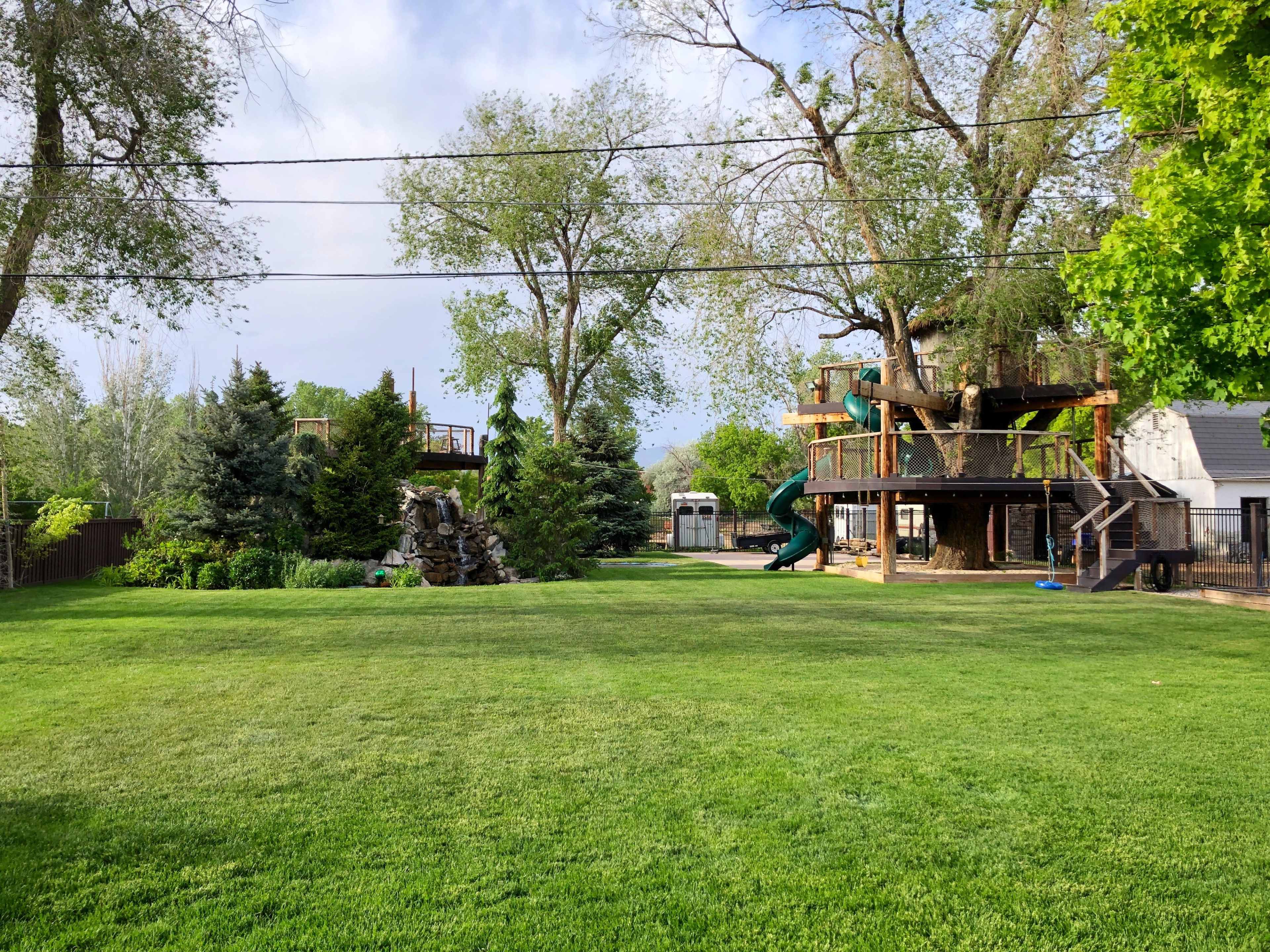 A spacious backyard featuring a grassy area with a treehouse, a slide, and several trees lining the perimeter.