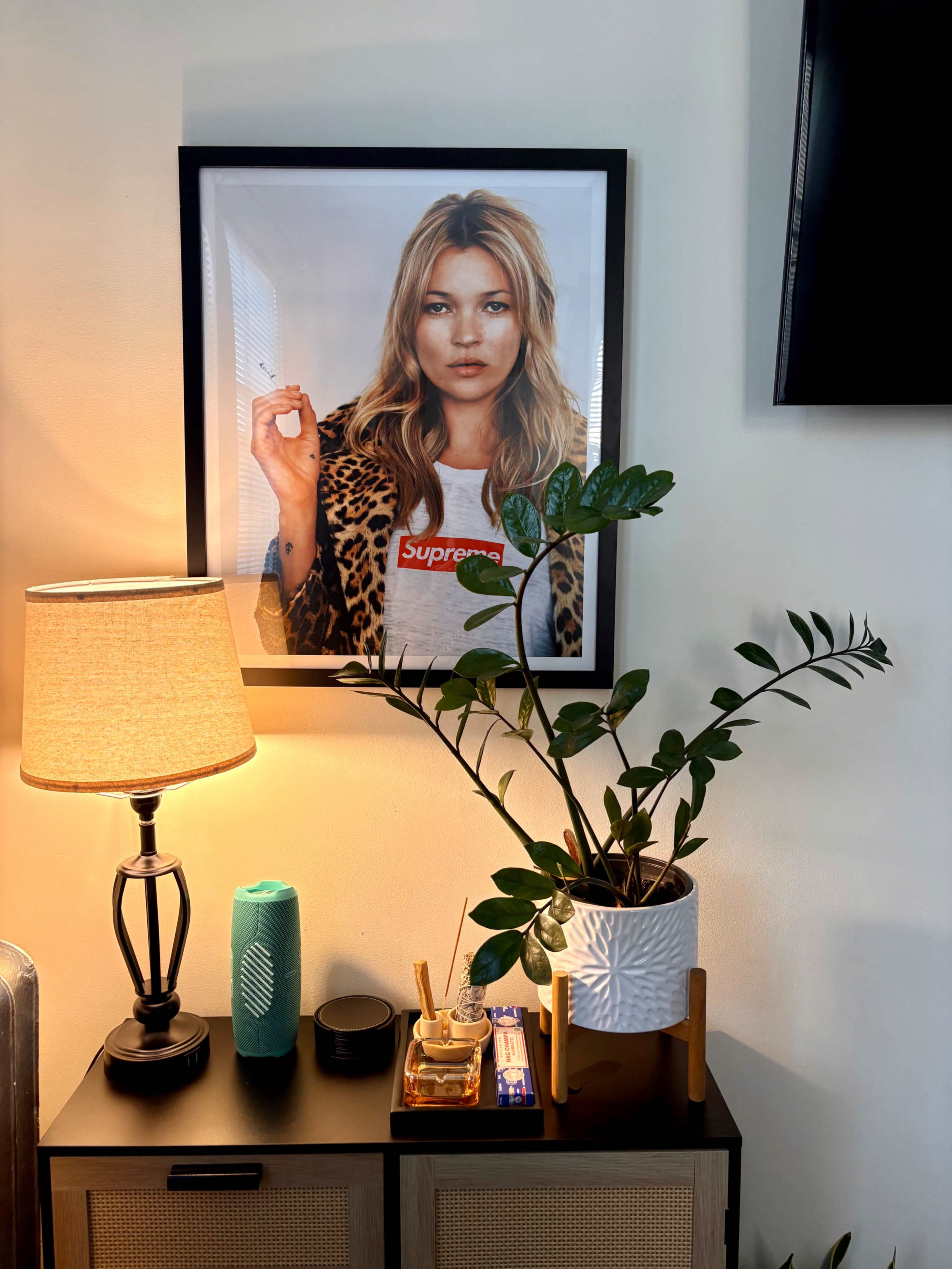 A framed portrait of a woman with long hair and a leopard print jacket hangs on the wall above a side table adorned with a lamp, a blue decorative item, a plant in a pot, and various objects.