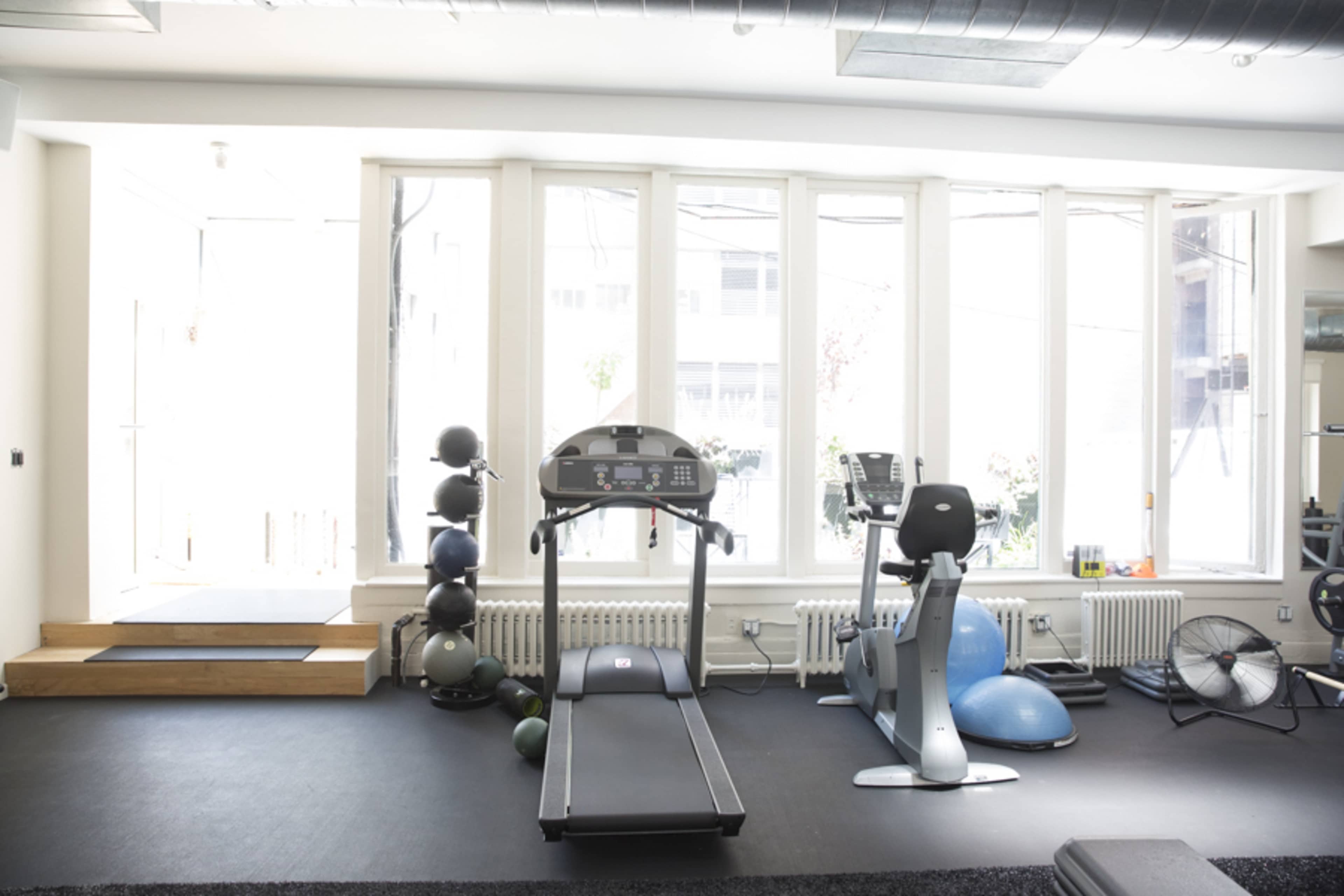 The image shows a bright gym interior with a treadmill, stationary bike, and exercise balls against large windows.