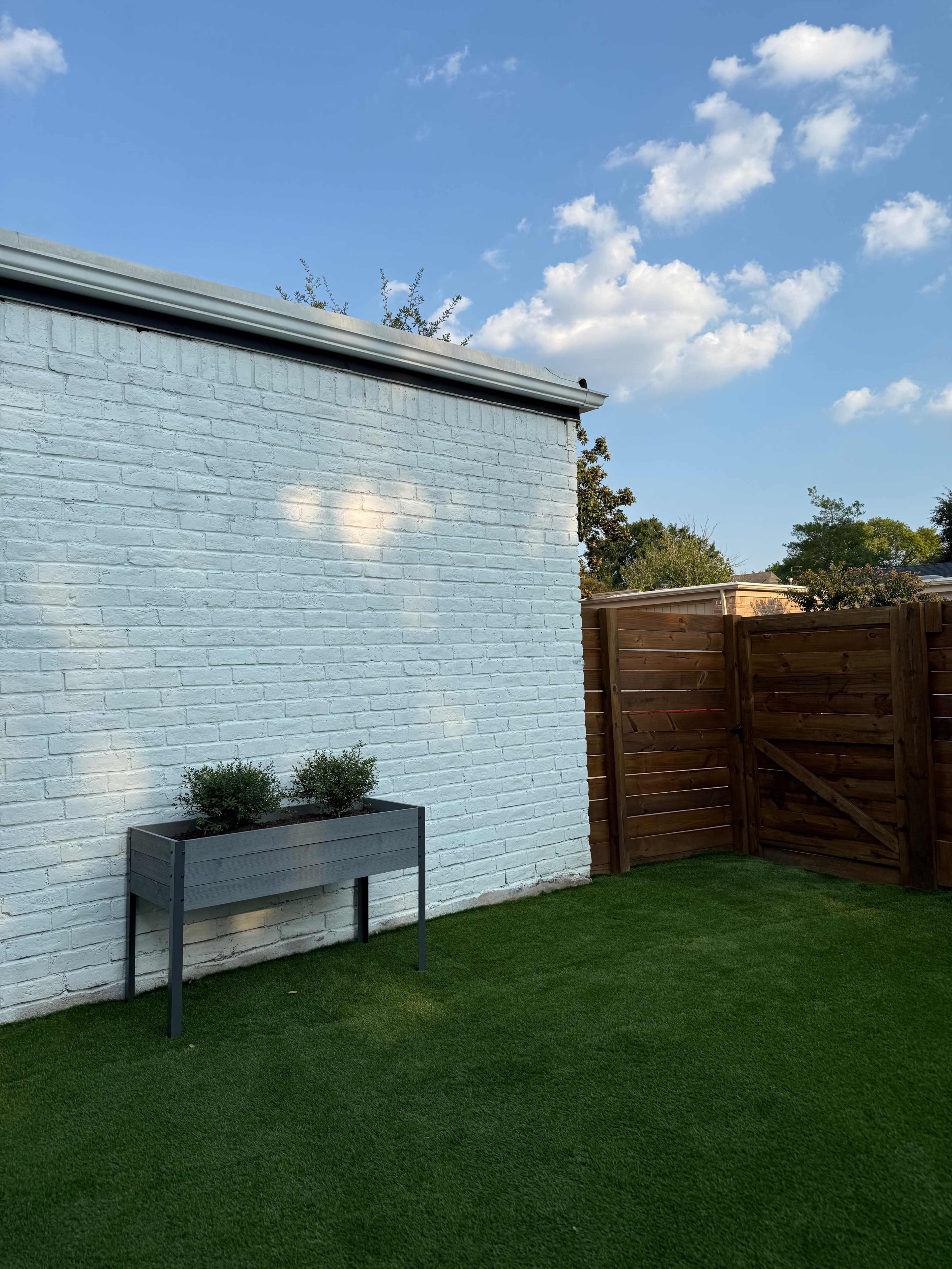 A bright blue wall is flanked by a wooden fence and a planter with two small shrubs on a green lawn.