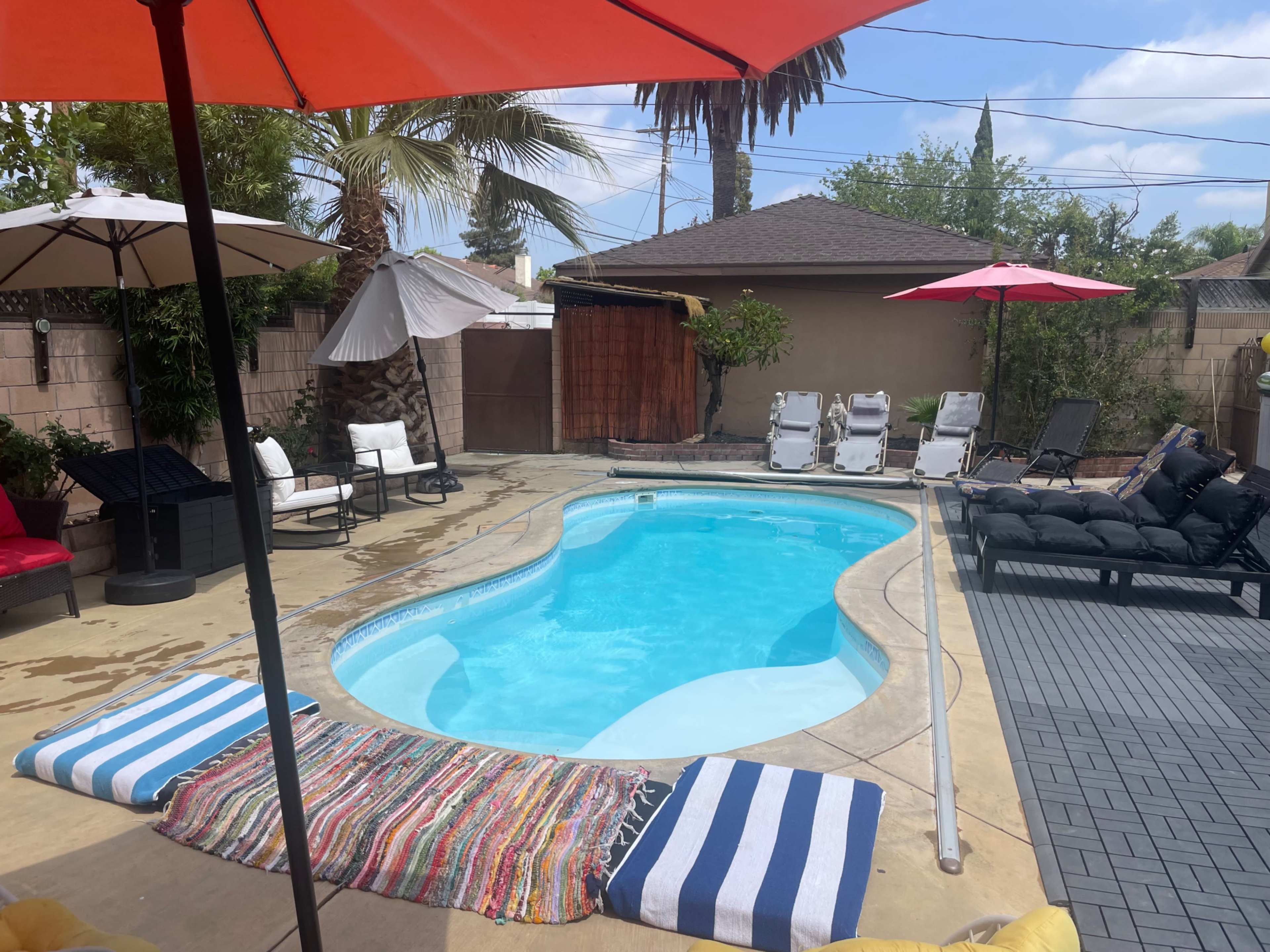 The image shows a backyard pool area with a swimming pool, several lounge chairs, umbrellas, and palm trees in a well-maintained setting.