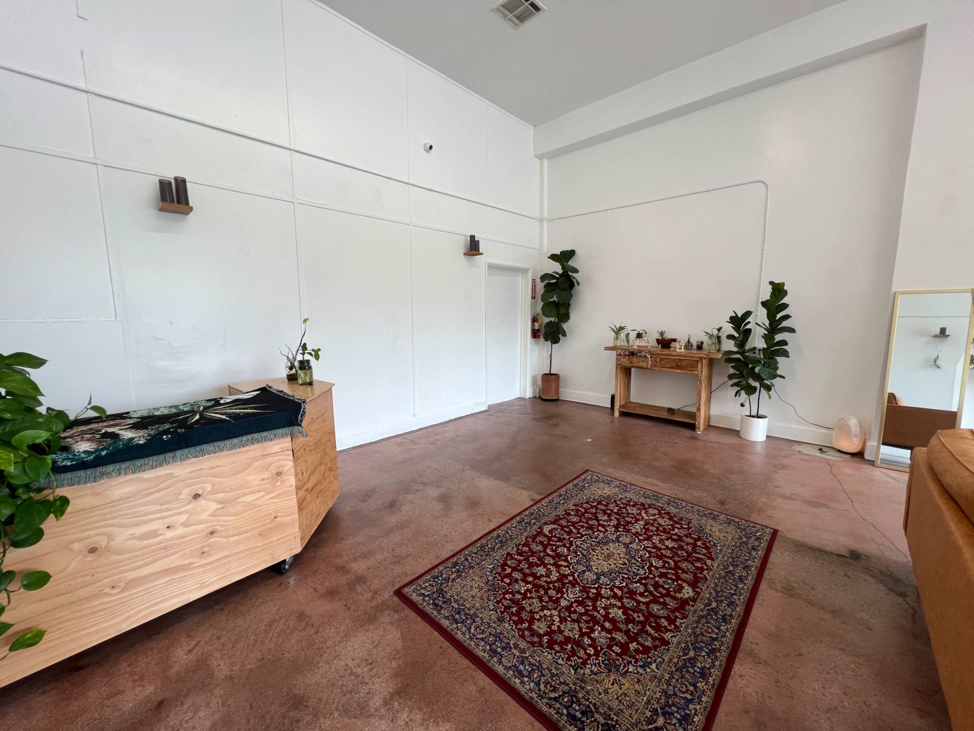 A minimalist indoor space with a wooden reception area, a small wooden table, a large decorative rug in the center, and a few green plants against white walls.