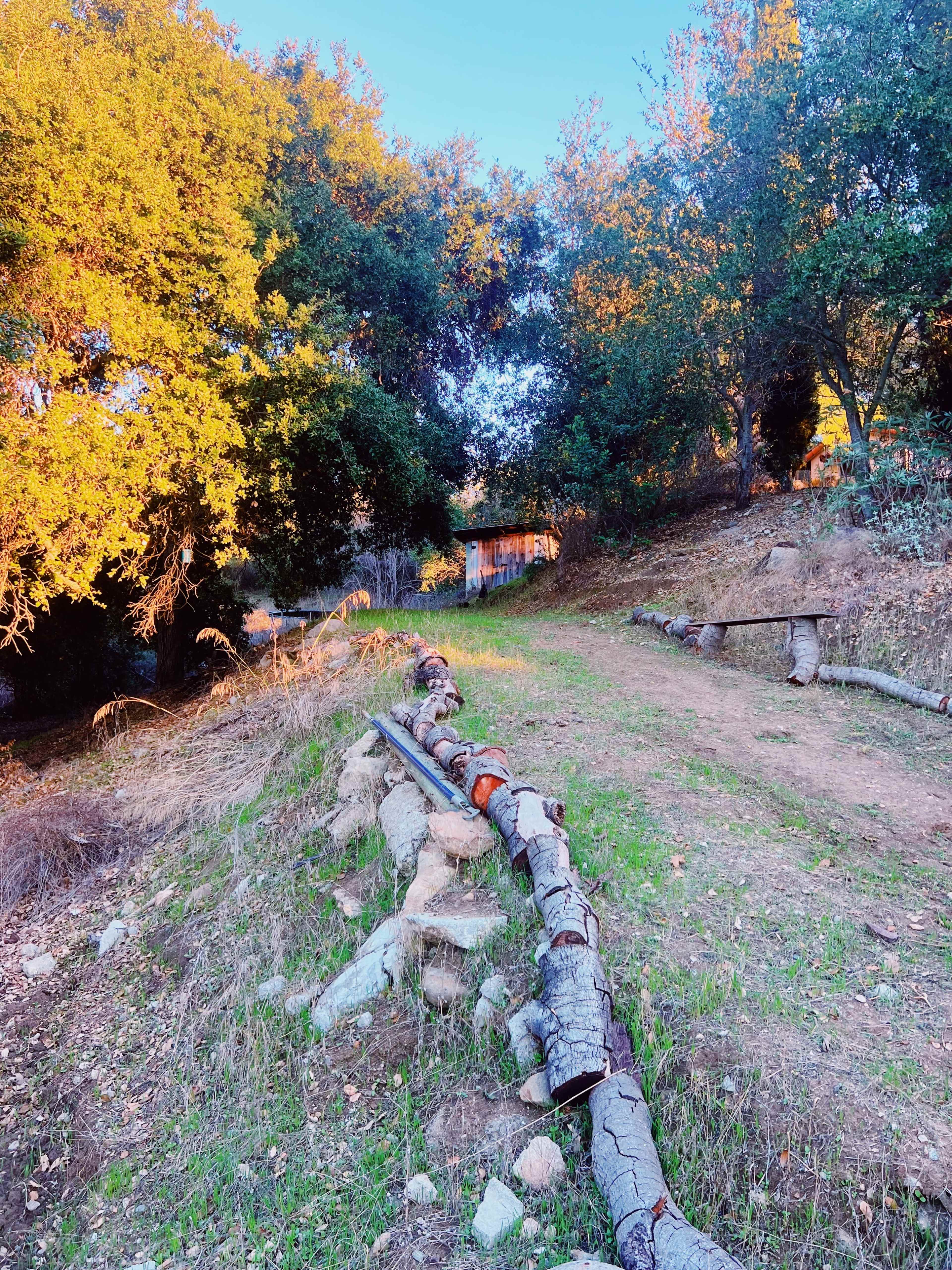 A dirt path lined with logs runs through a wooded area with trees and sunlight filtering through the leaves.