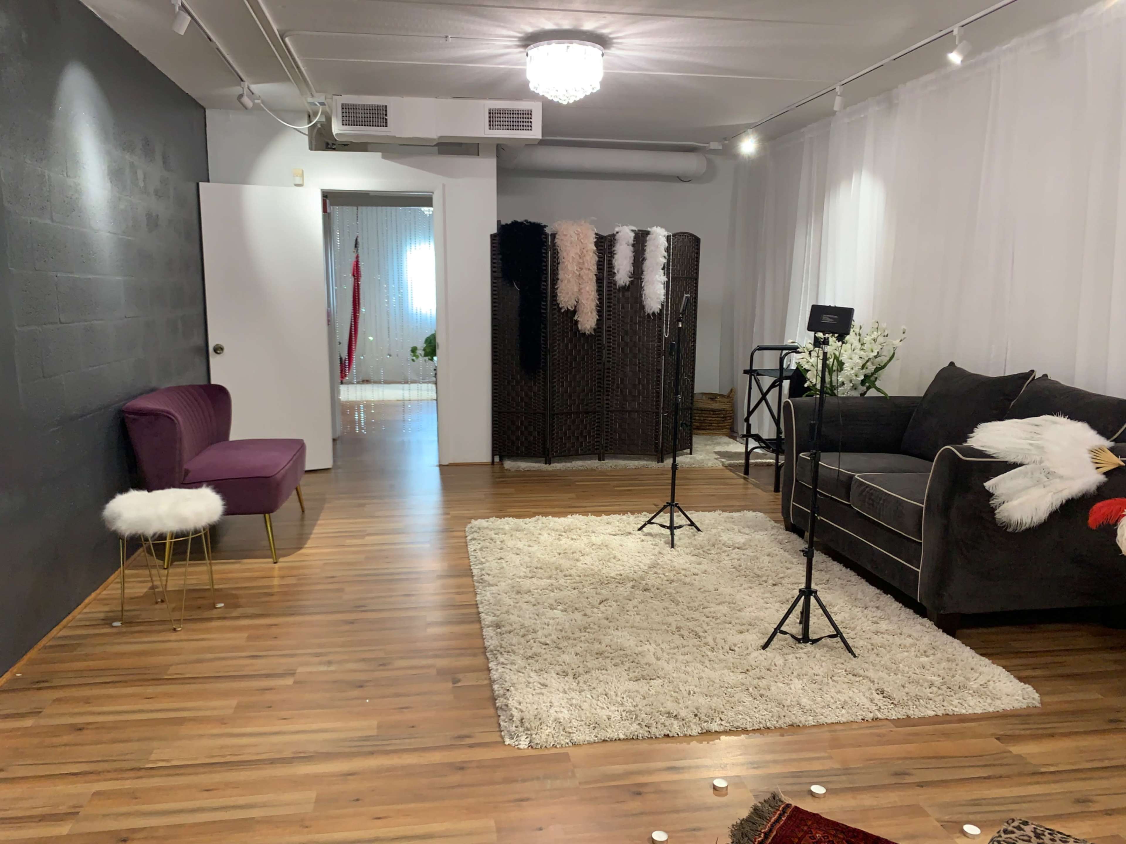 The image shows a spacious room featuring a purple chair, a gray sofa, a light-colored rug, and two stands, with a partition in the background and natural light coming in through sheer curtains.