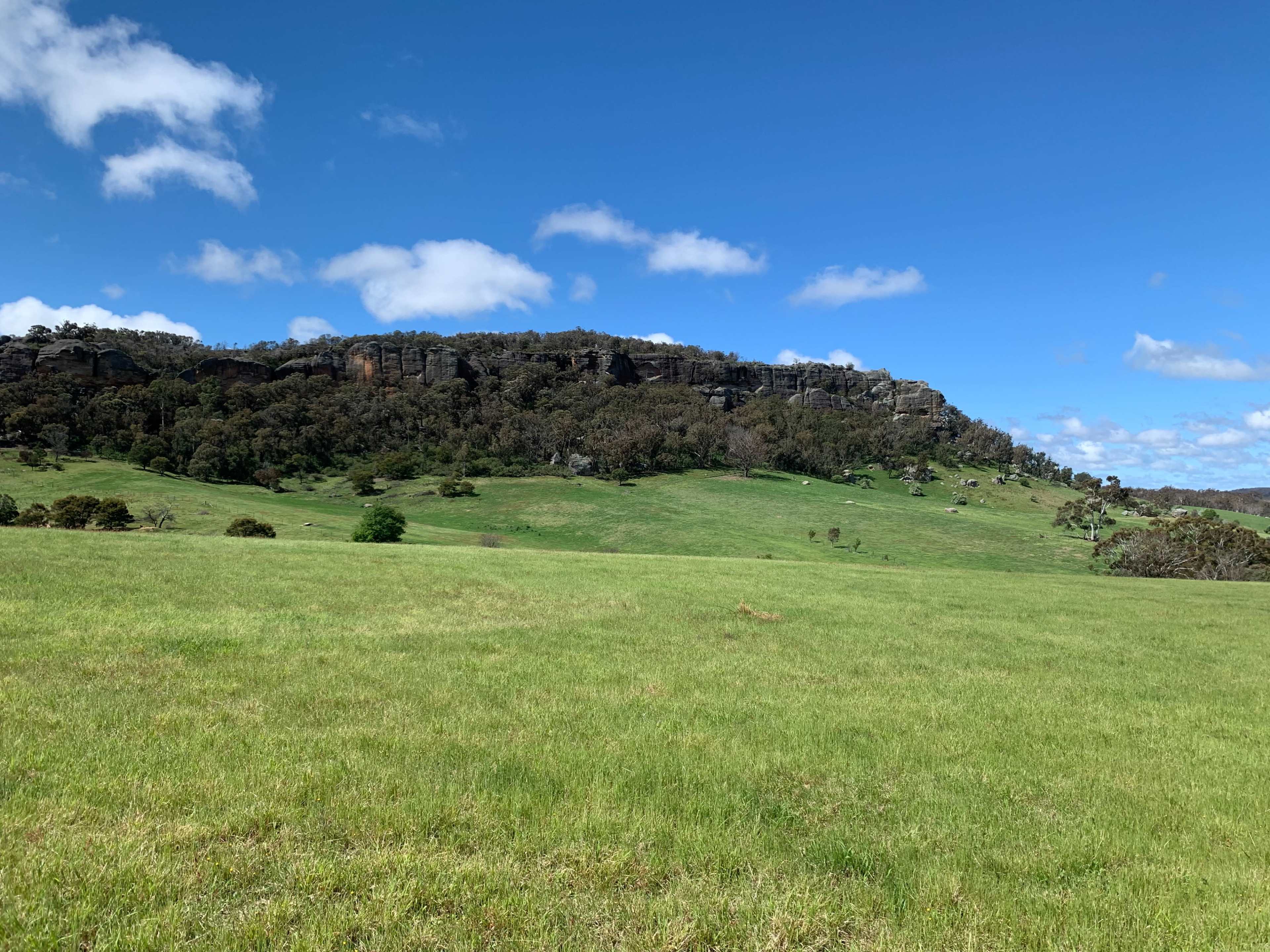 A grassy field with a rocky hill in the background under a clear blue sky.